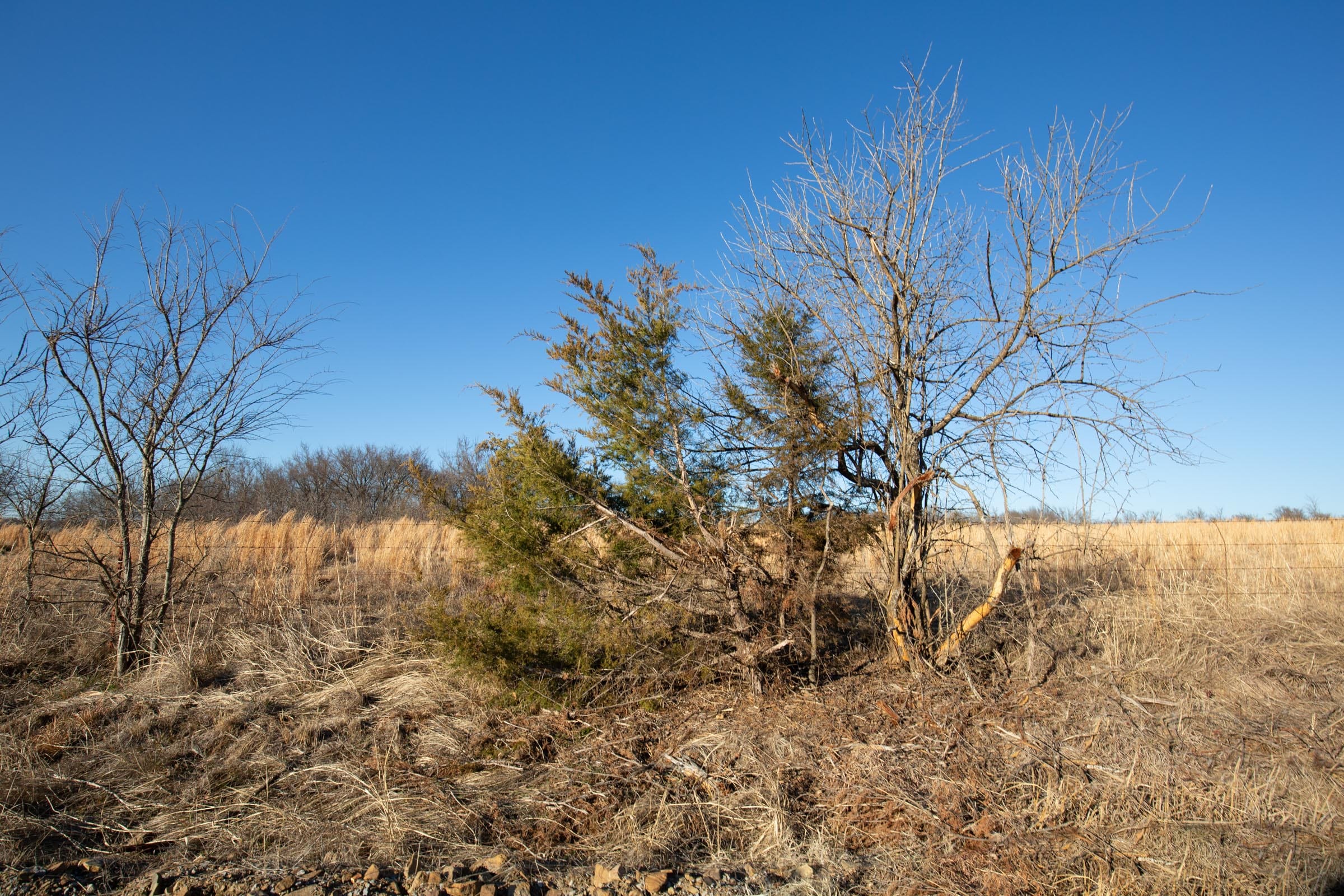 Painted Horse Tract 48 photo 2
