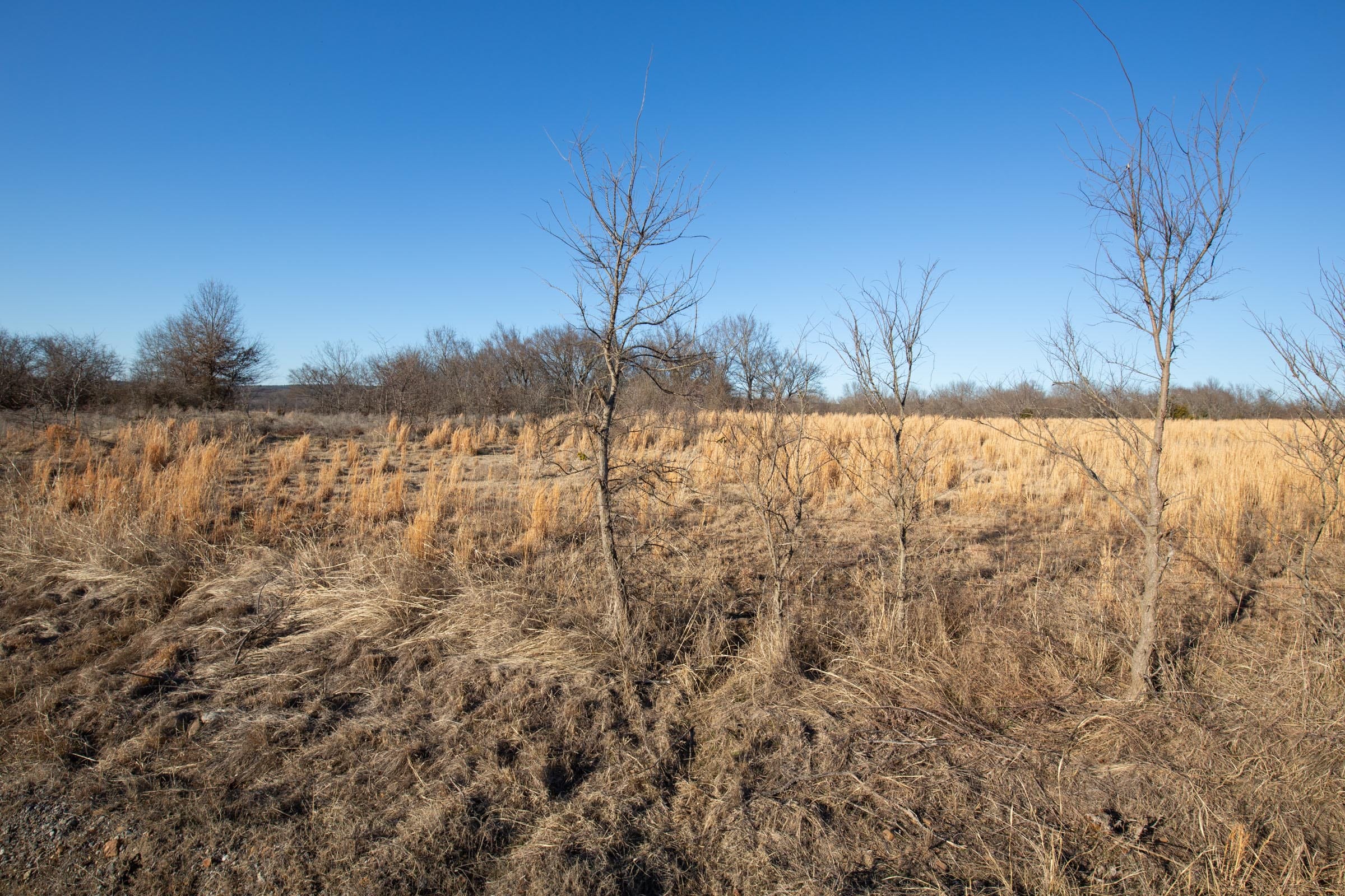 Painted Horse Tract 48 photo 3