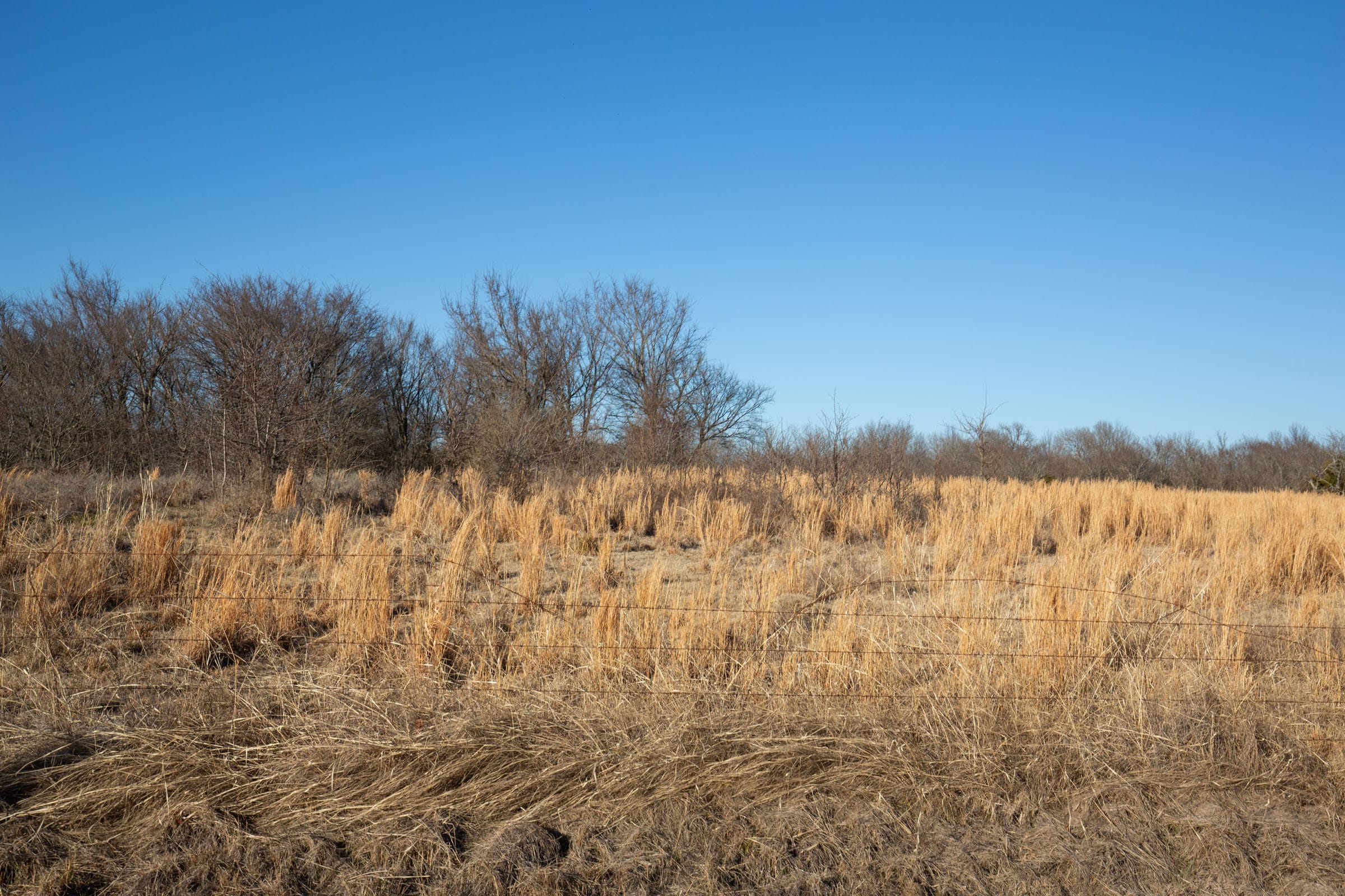 Painted Horse Tract 48 photo 5