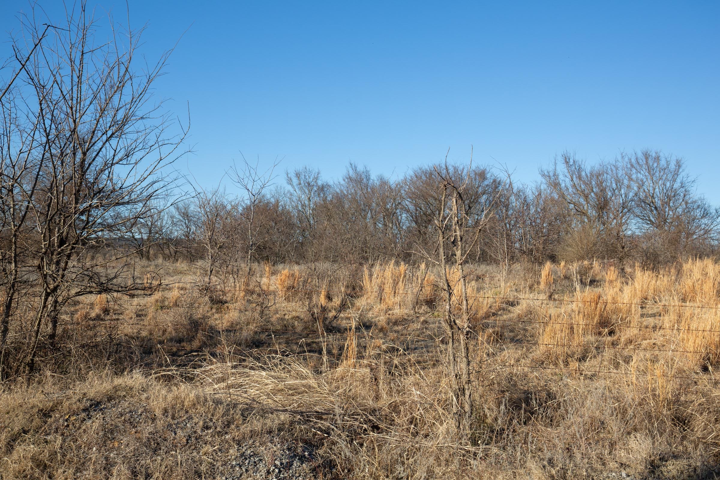 Painted Horse Tract 48 photo 6