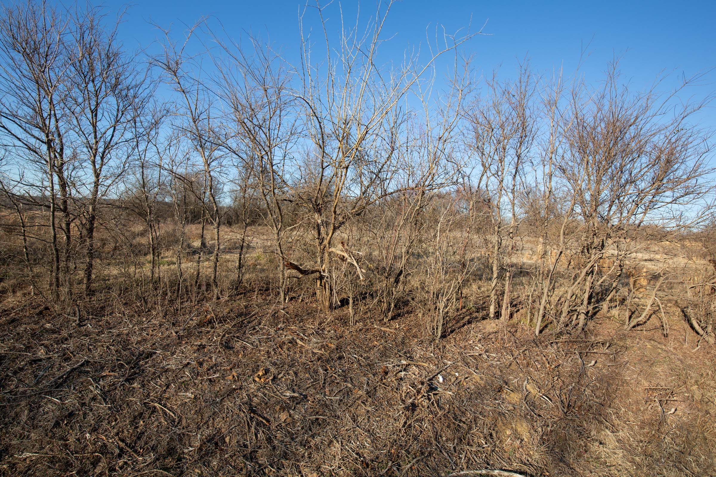 Painted Horse Tract 48 photo 8