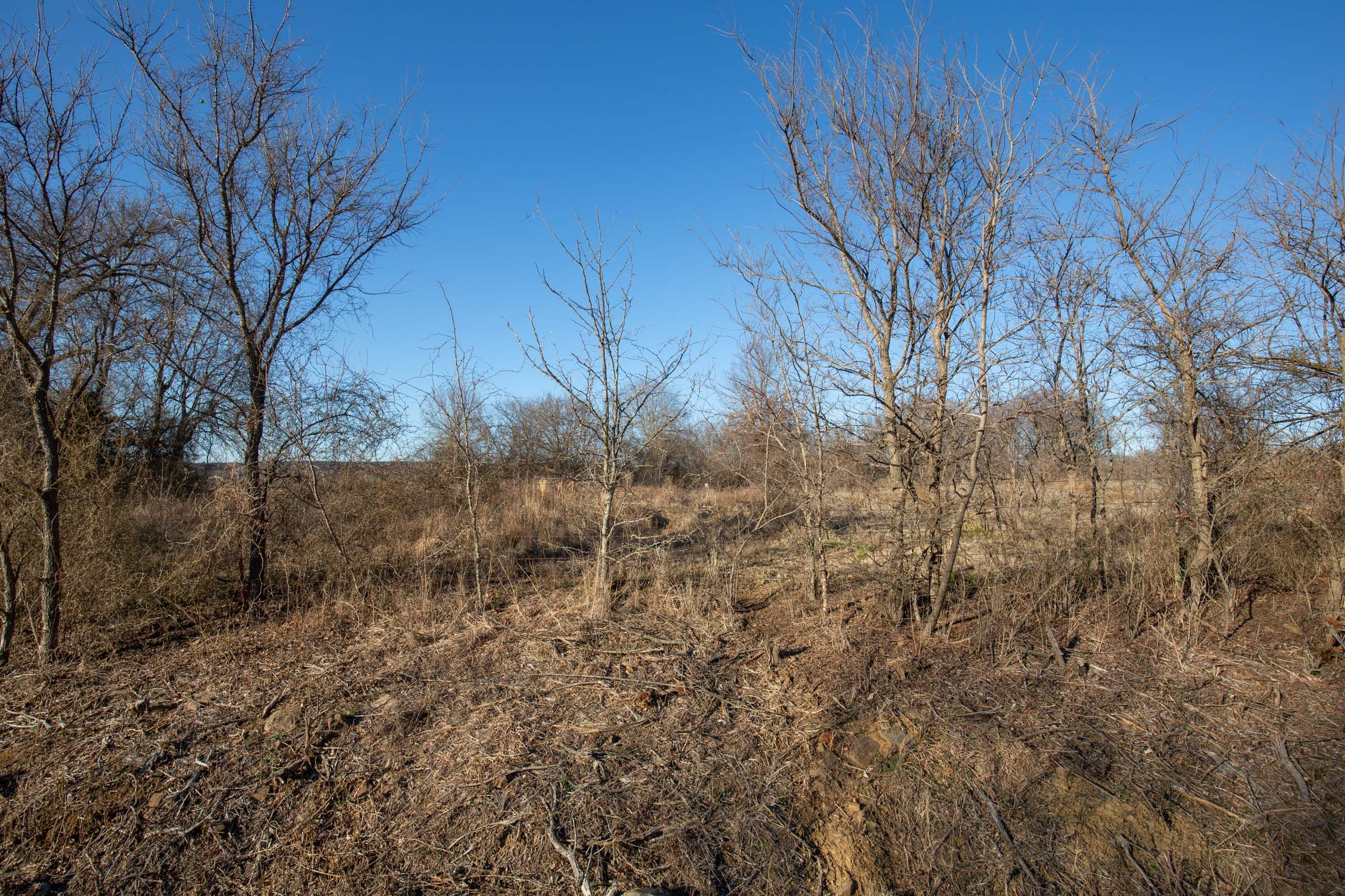 Painted Horse Tract 48 photo 9