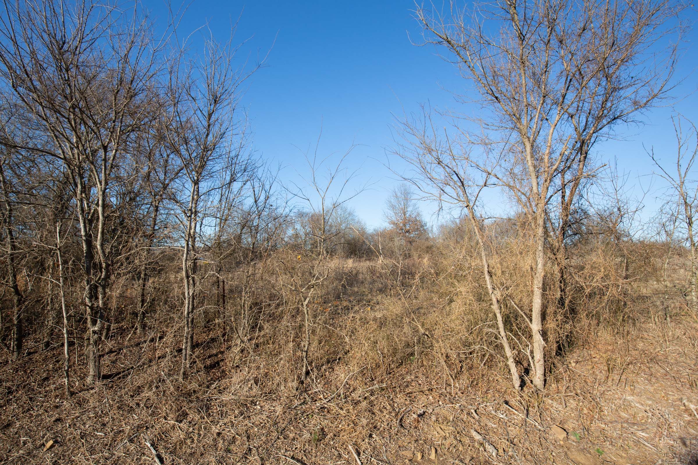Painted Horse Tract 48 photo 10