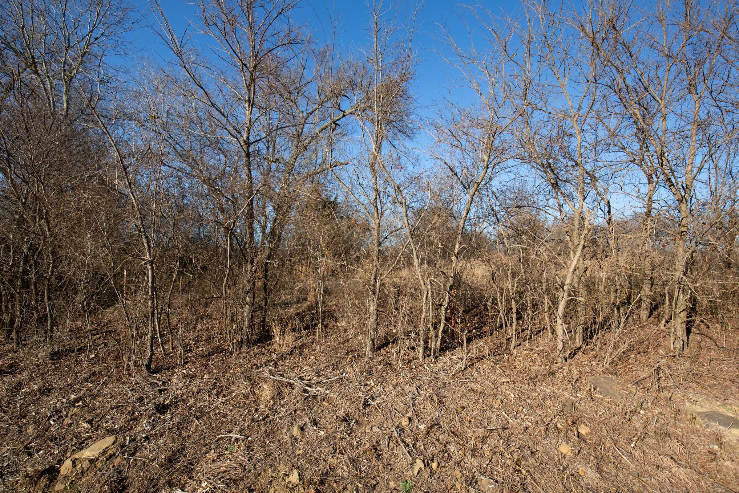Painted Horse Tract 48 photo 11