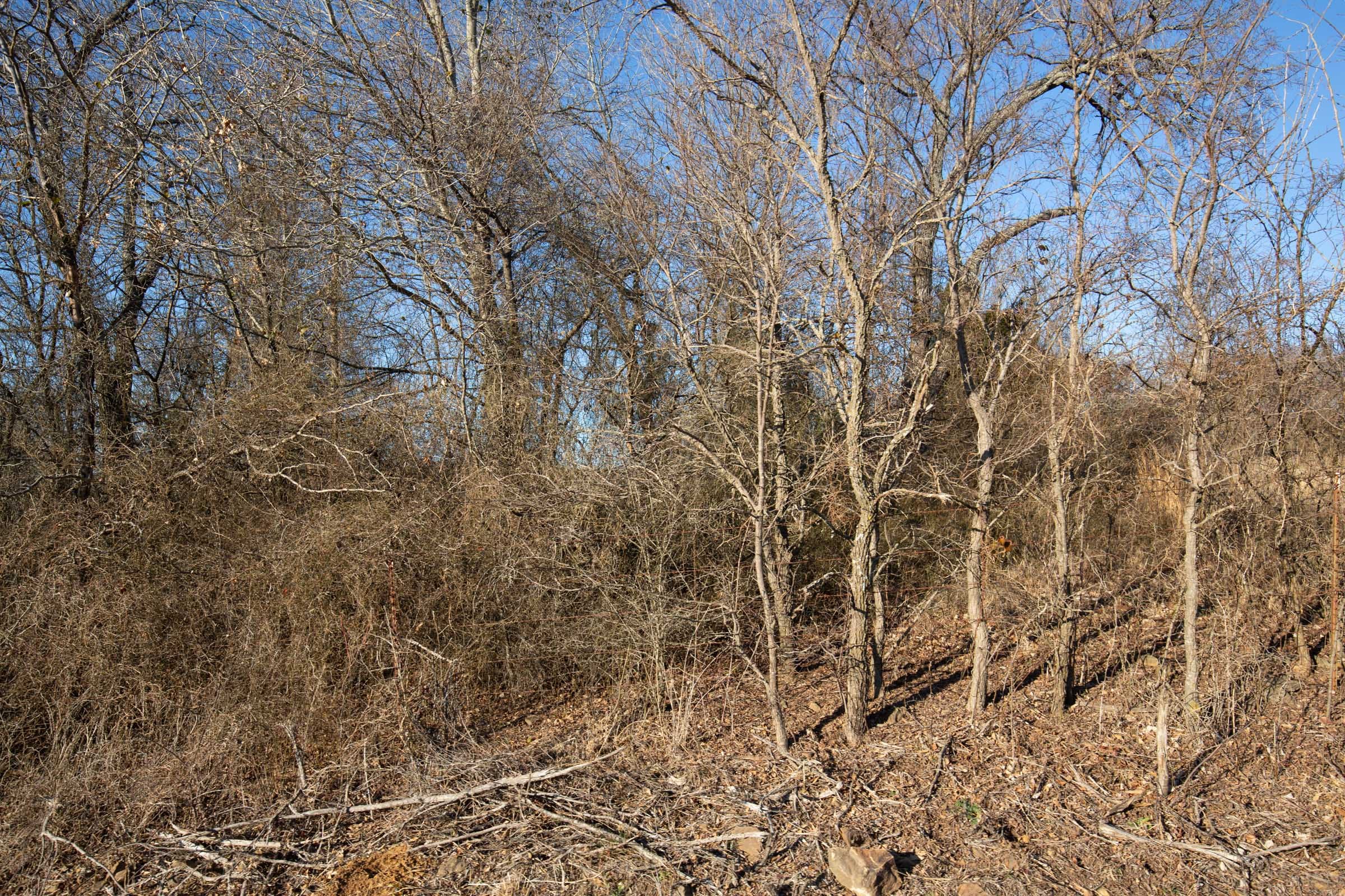 Painted Horse Tract 48 photo 12