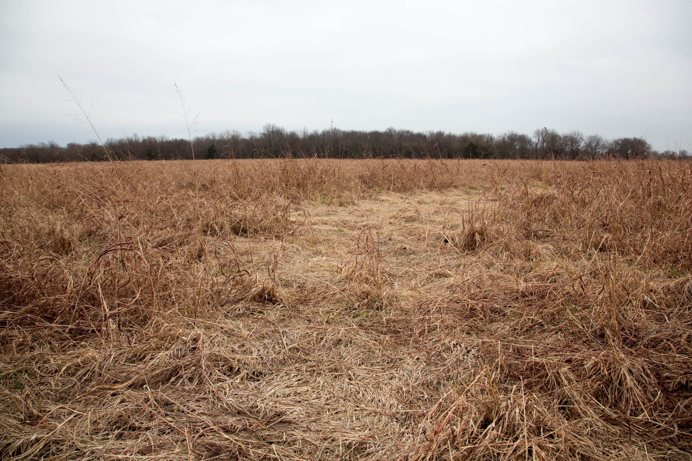 Canadian Plains Tract 26 photo 2