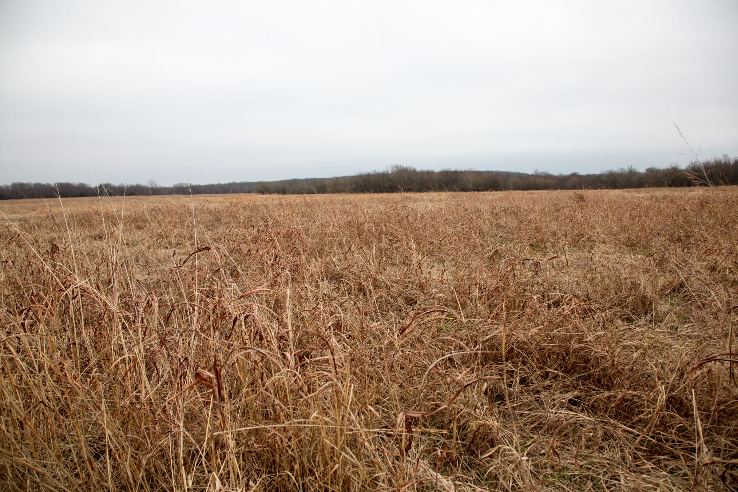 Canadian Plains Tract 26 photo 3