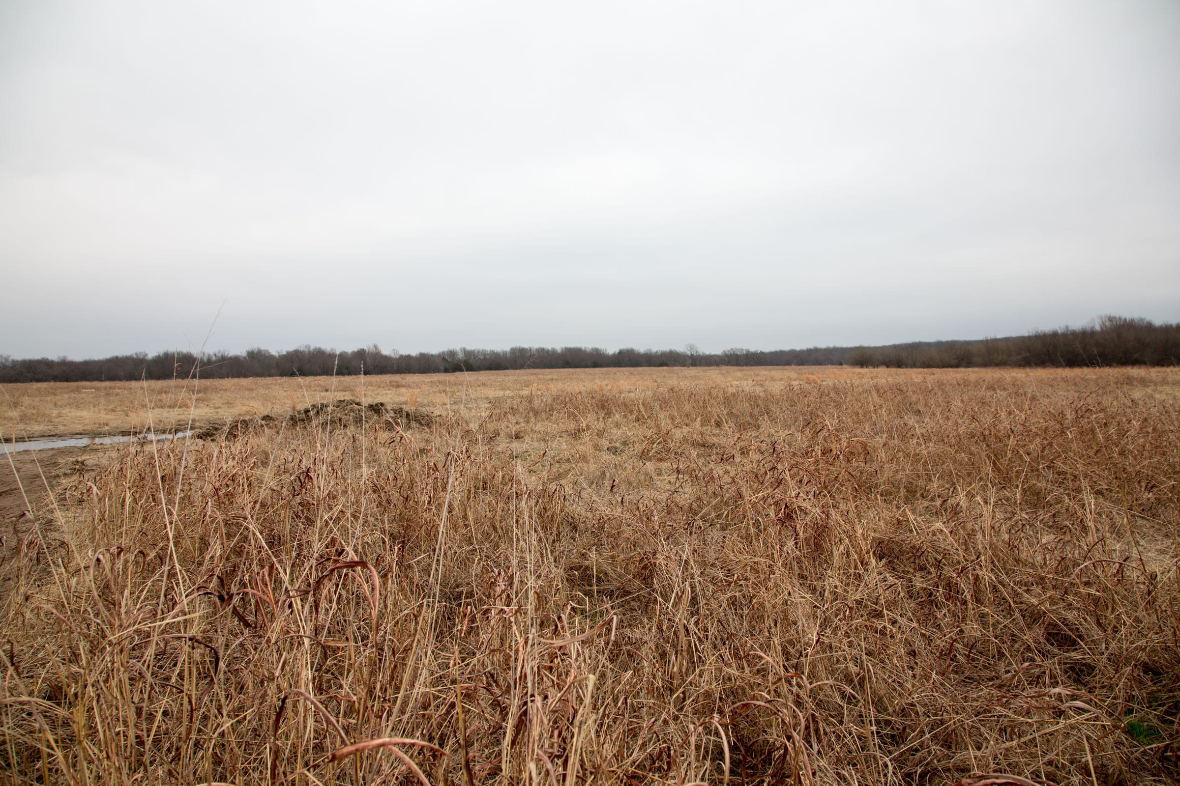 Canadian Plains Tract 26 photo 4