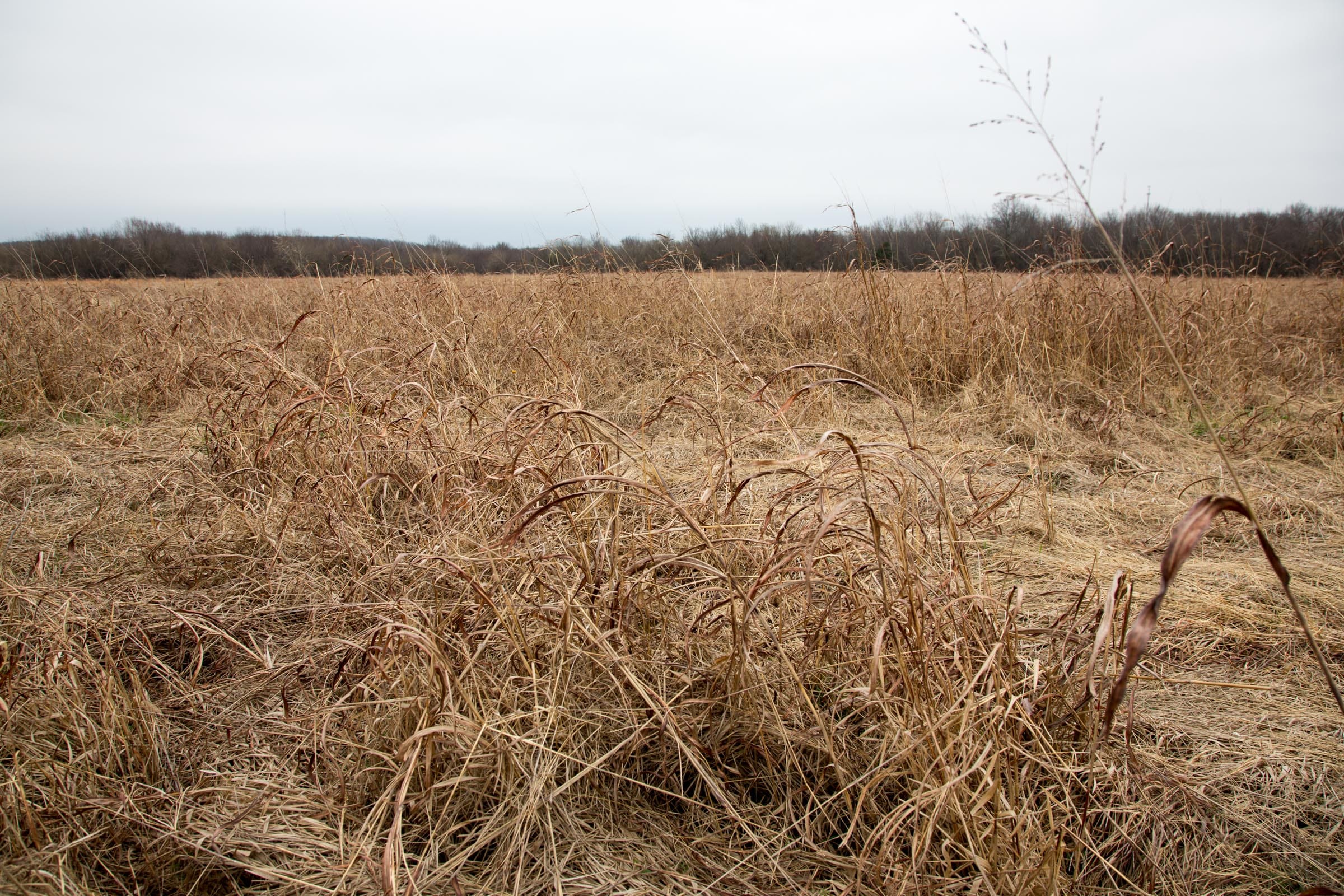 Canadian Plains Tract 26 photo 5