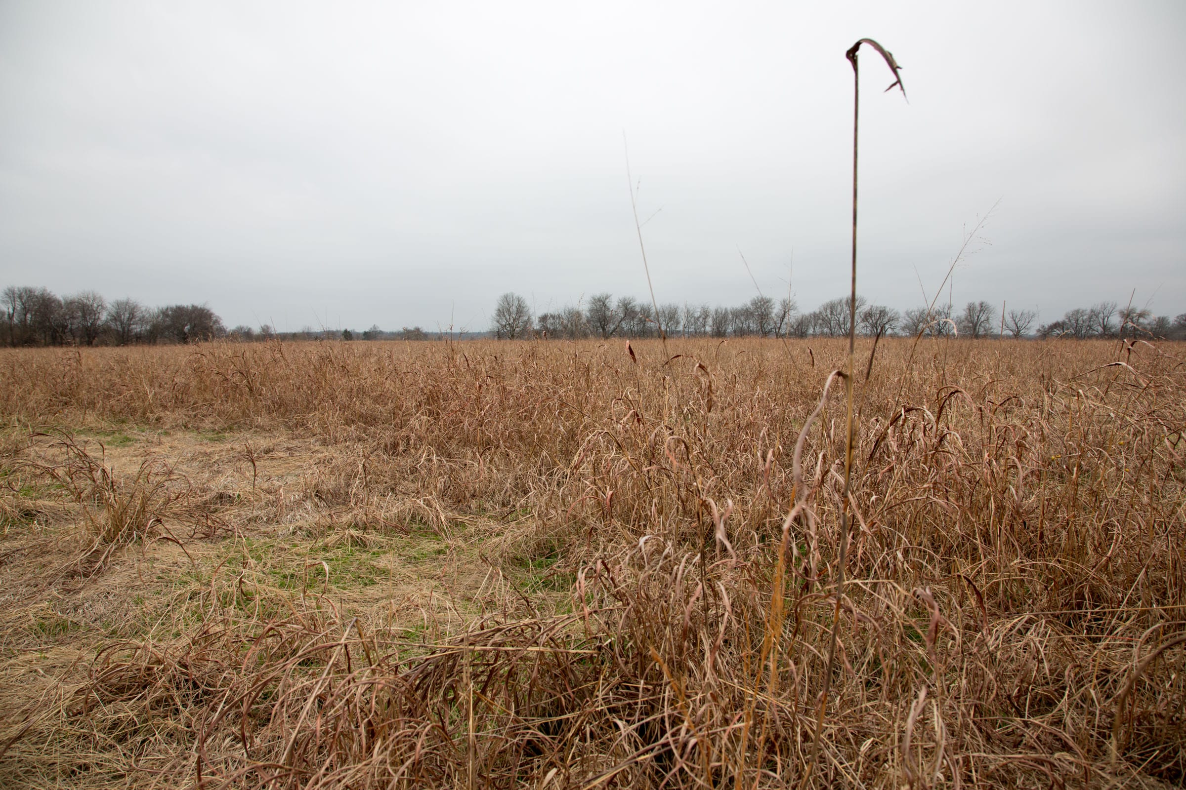 Canadian Plains Tract 26 photo 6