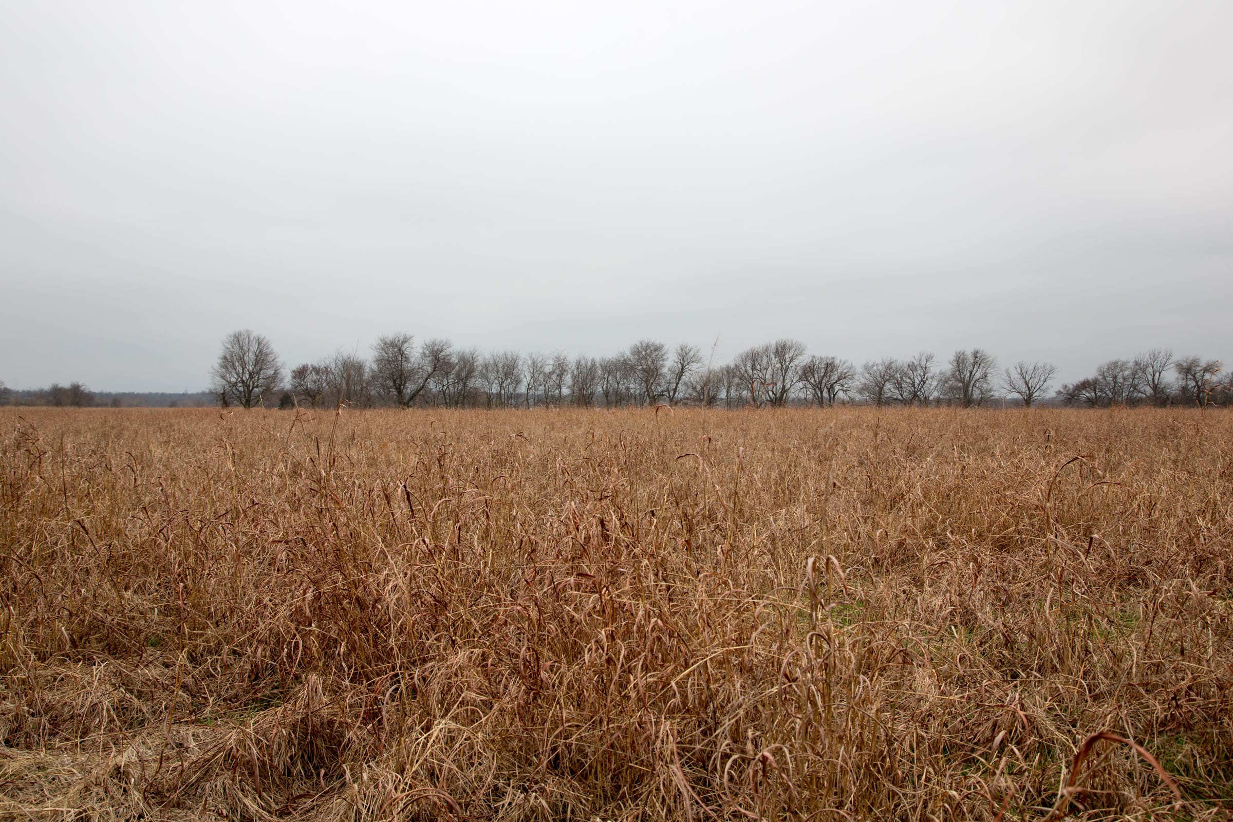 Canadian Plains Tract 26 photo 7