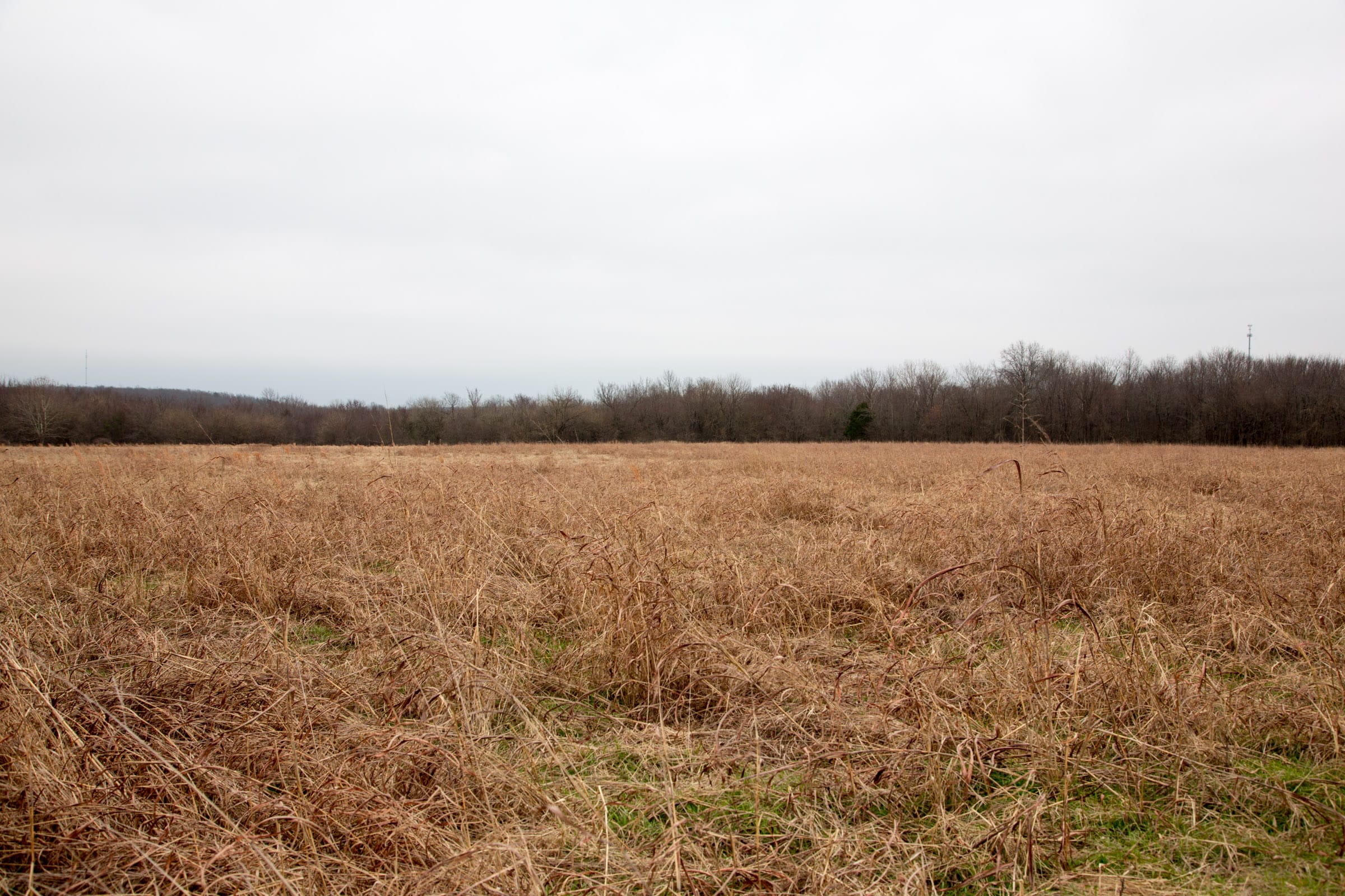 Canadian Plains Tract 26 photo 8