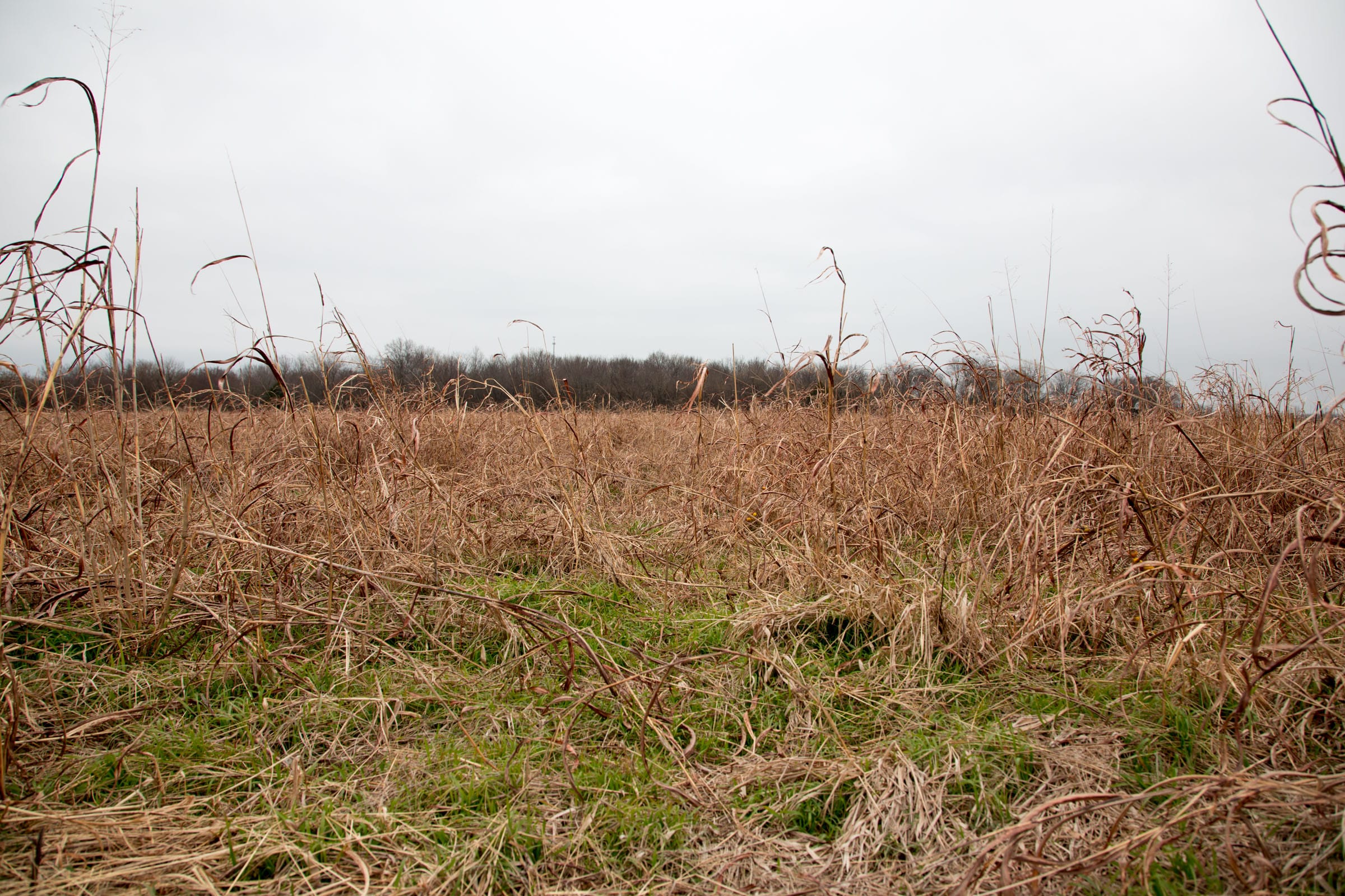 Canadian Plains Tract 26 photo 9