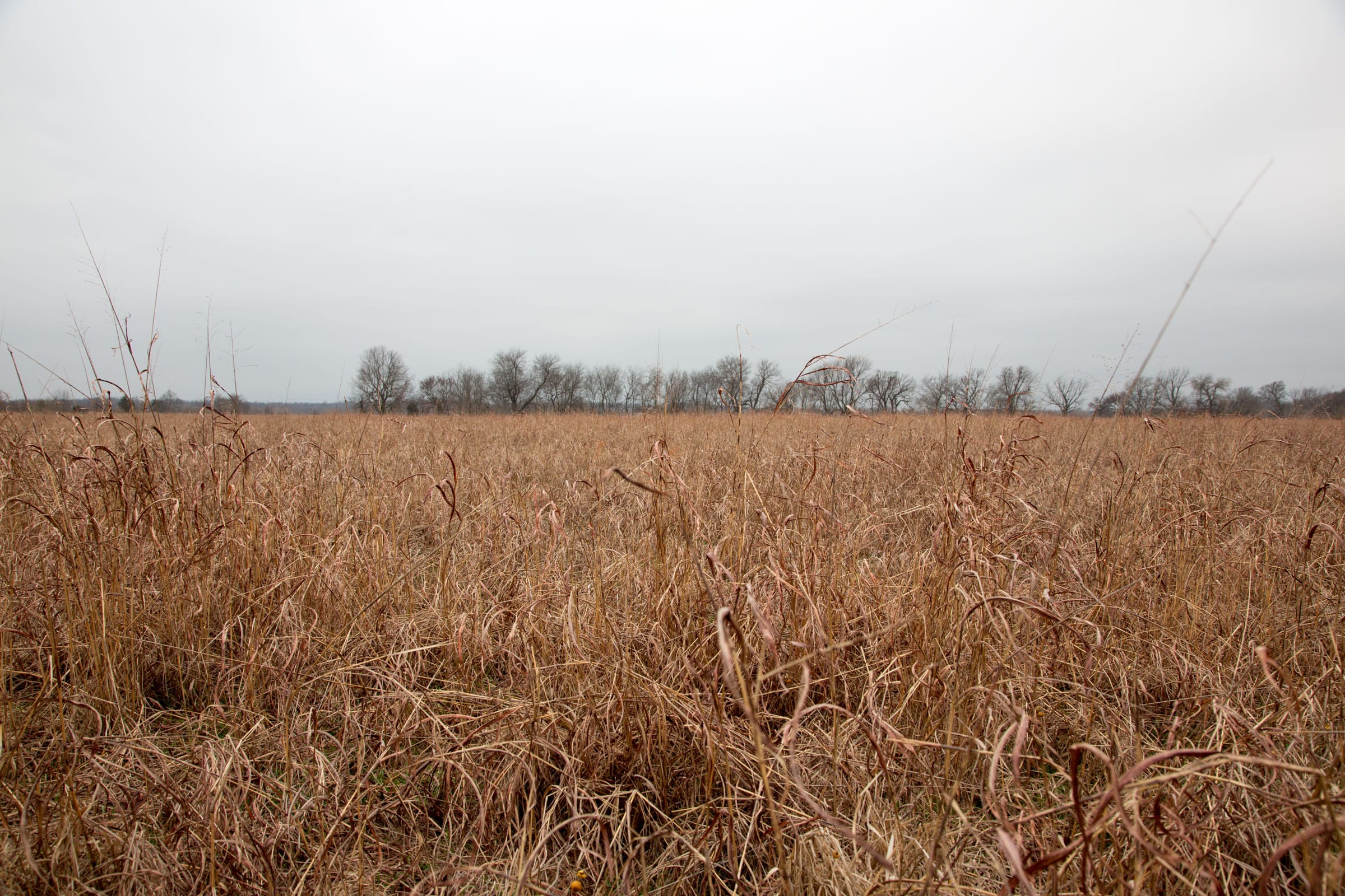 Canadian Plains Tract 26 photo 10
