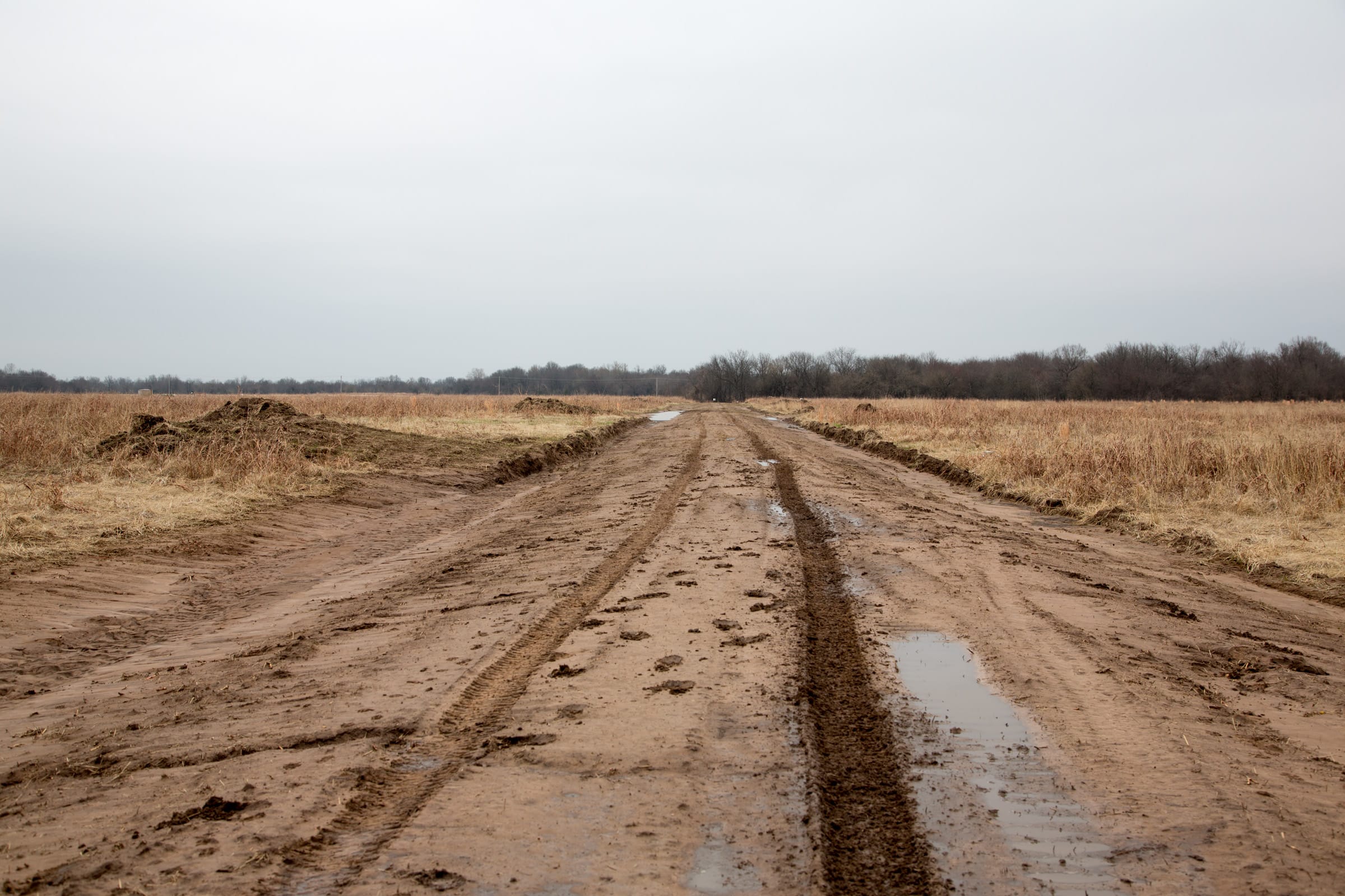 Canadian Plains Tract 26 photo 1