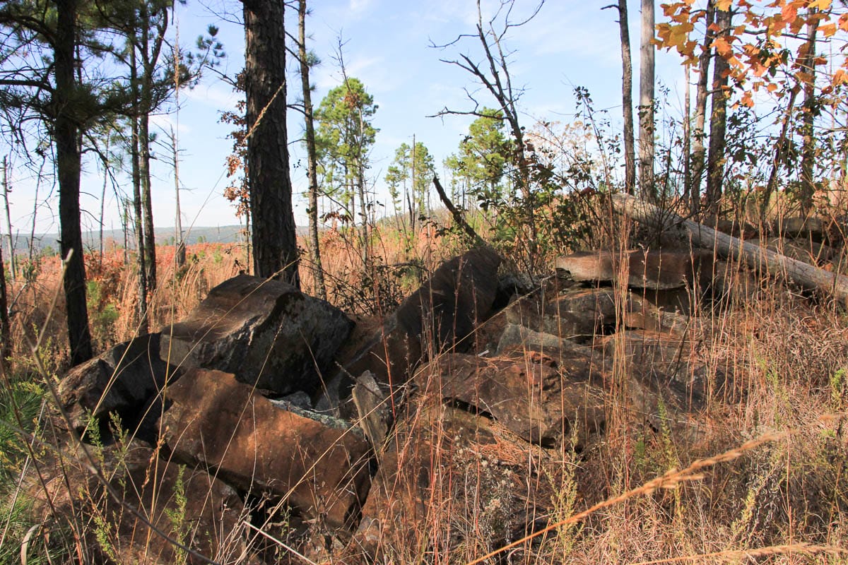 Stone Creek Phase III Tract 45 photo 5