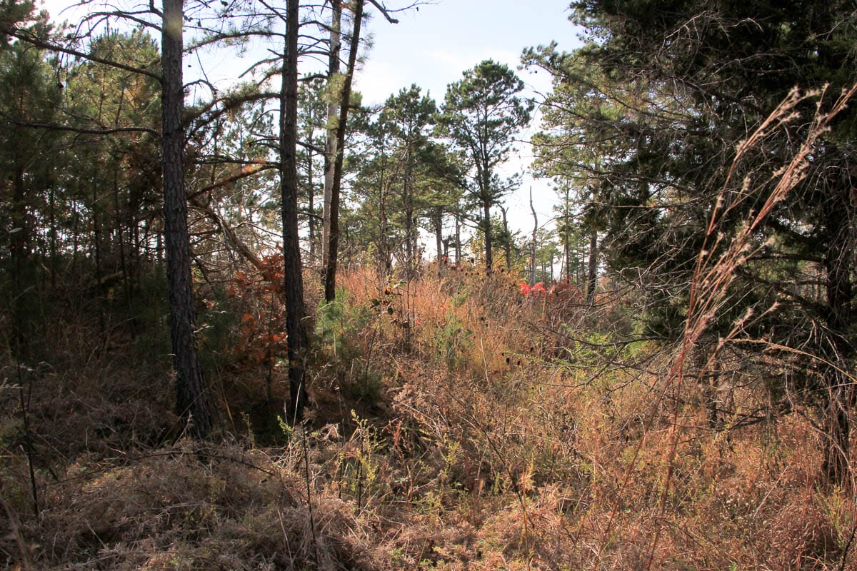 Stone Creek Phase III Tract 45 photo 6