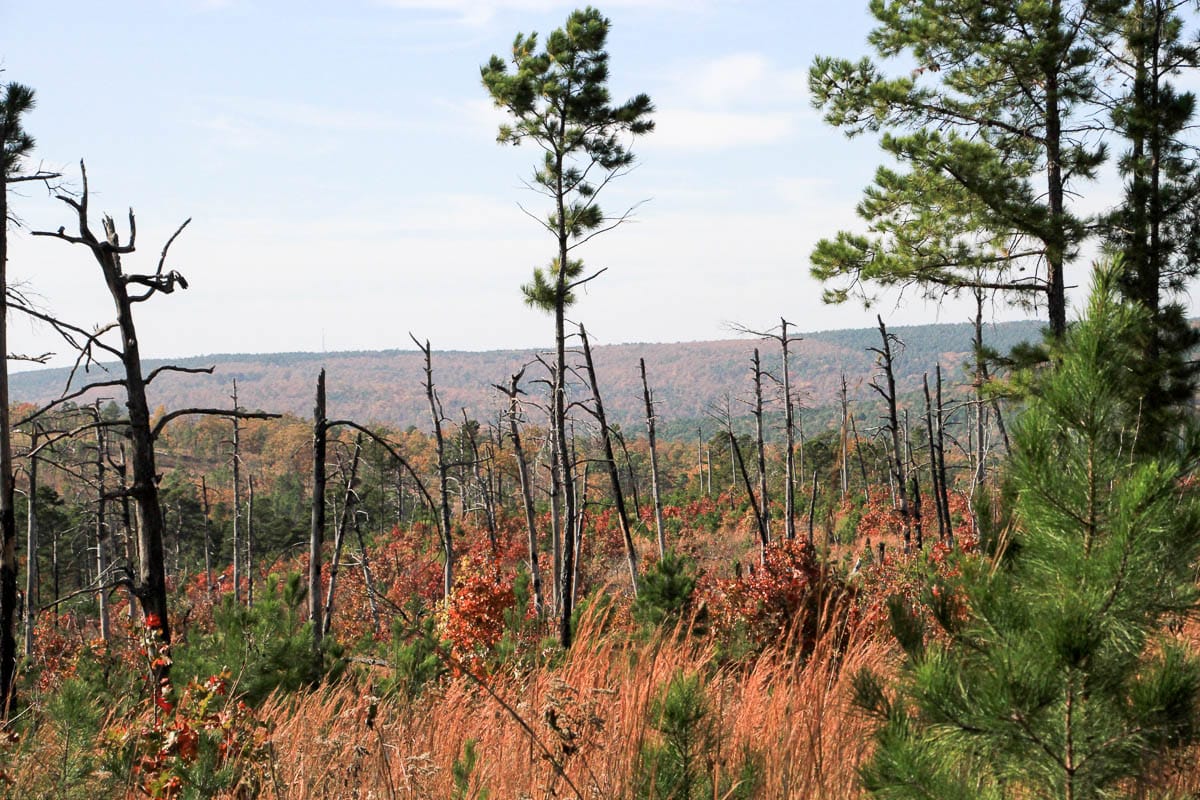 Stone Creek Phase III Tract 45 photo 12