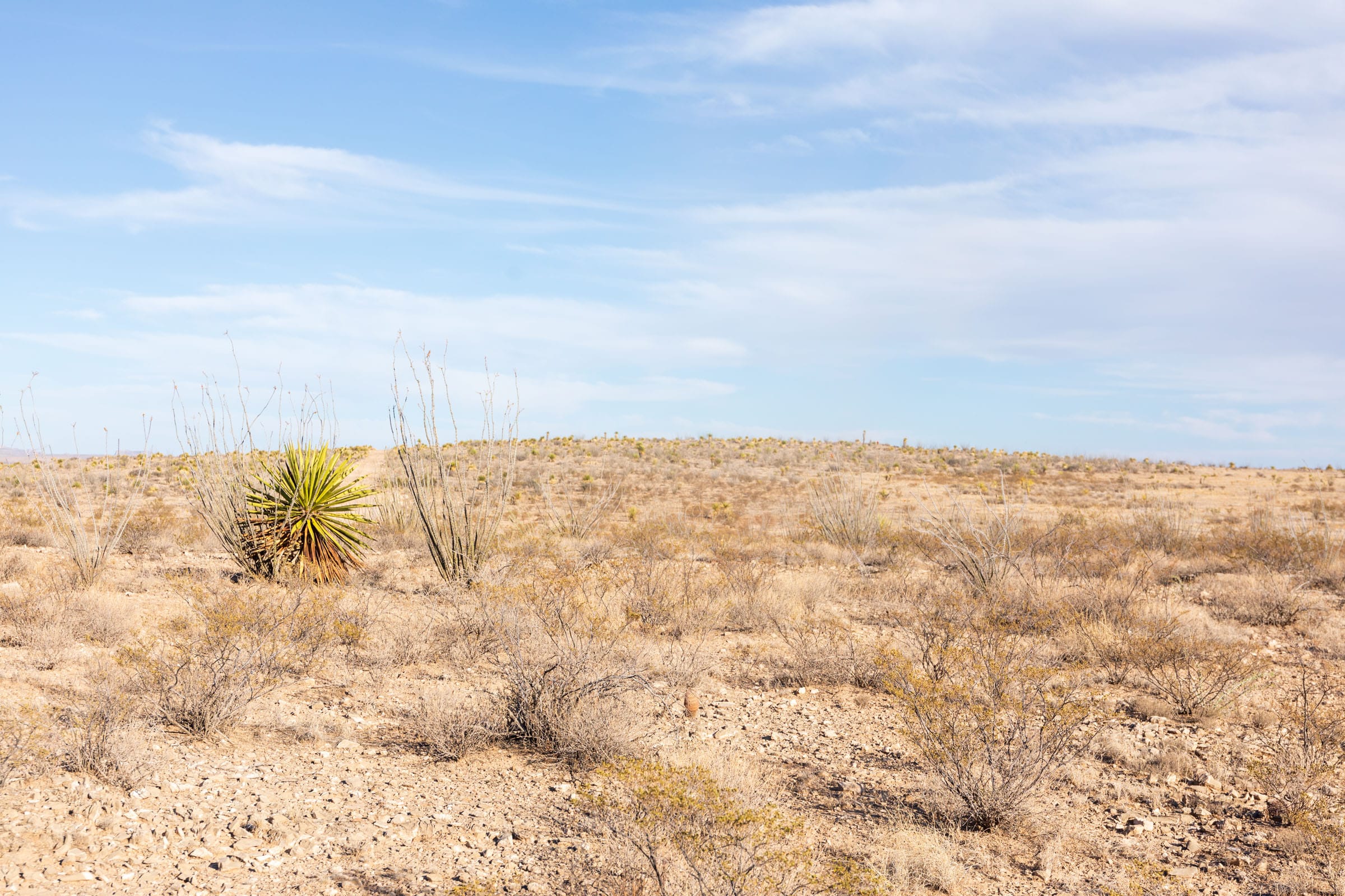 Sunrise Ranches Phase II Tract 42 photo 2