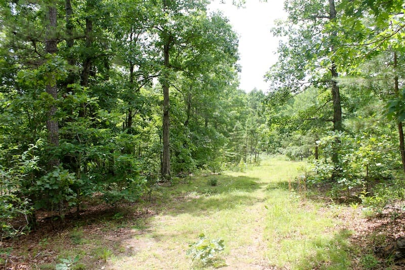 Green Mountain Ranch Tract 43 photo 1