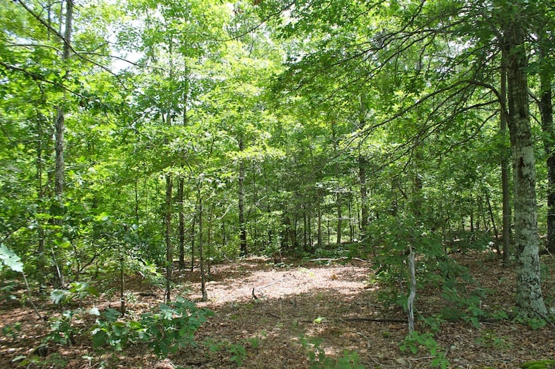 Green Mountain Ranch Tract 43 photo 6