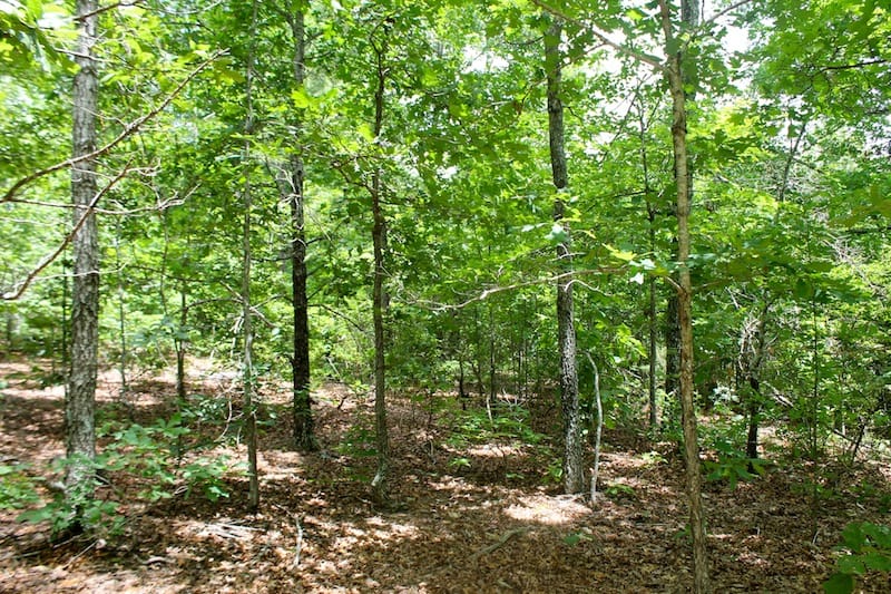 Green Mountain Ranch Tract 43 photo 8