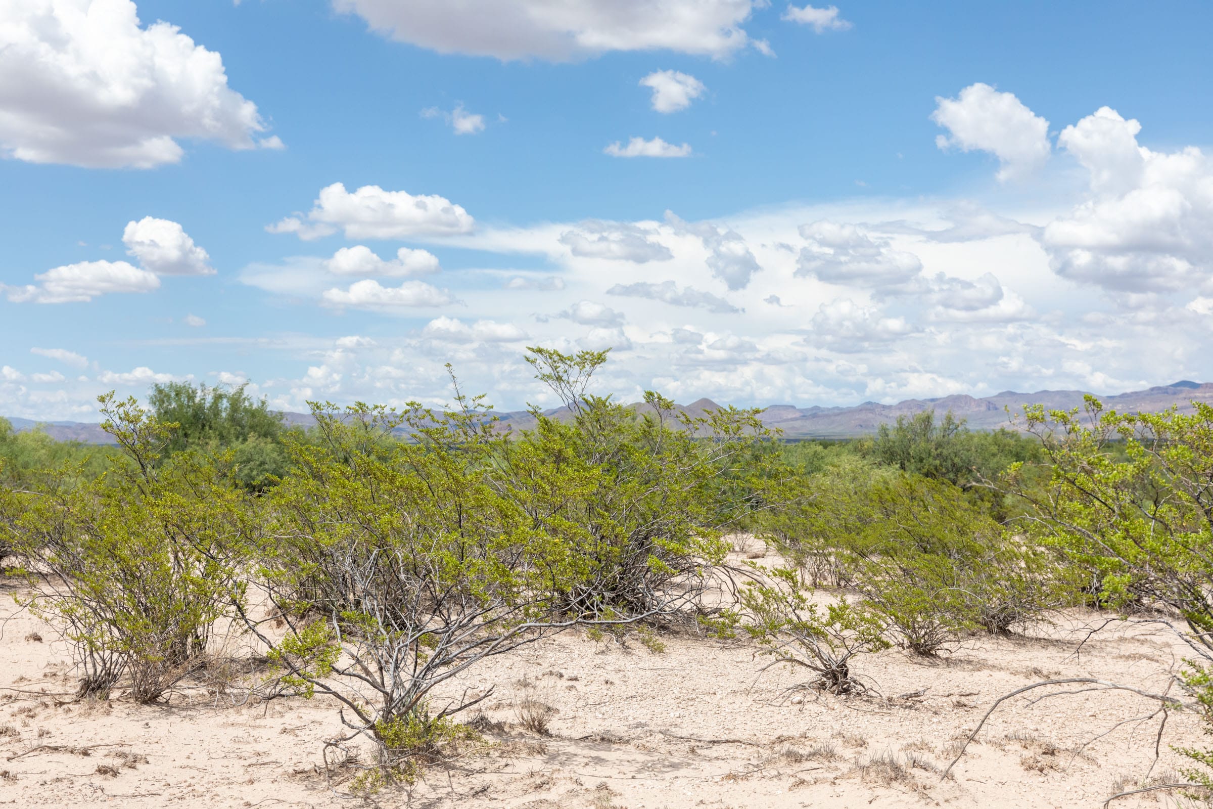 Horizon’s Edge Tract 7 photo 3