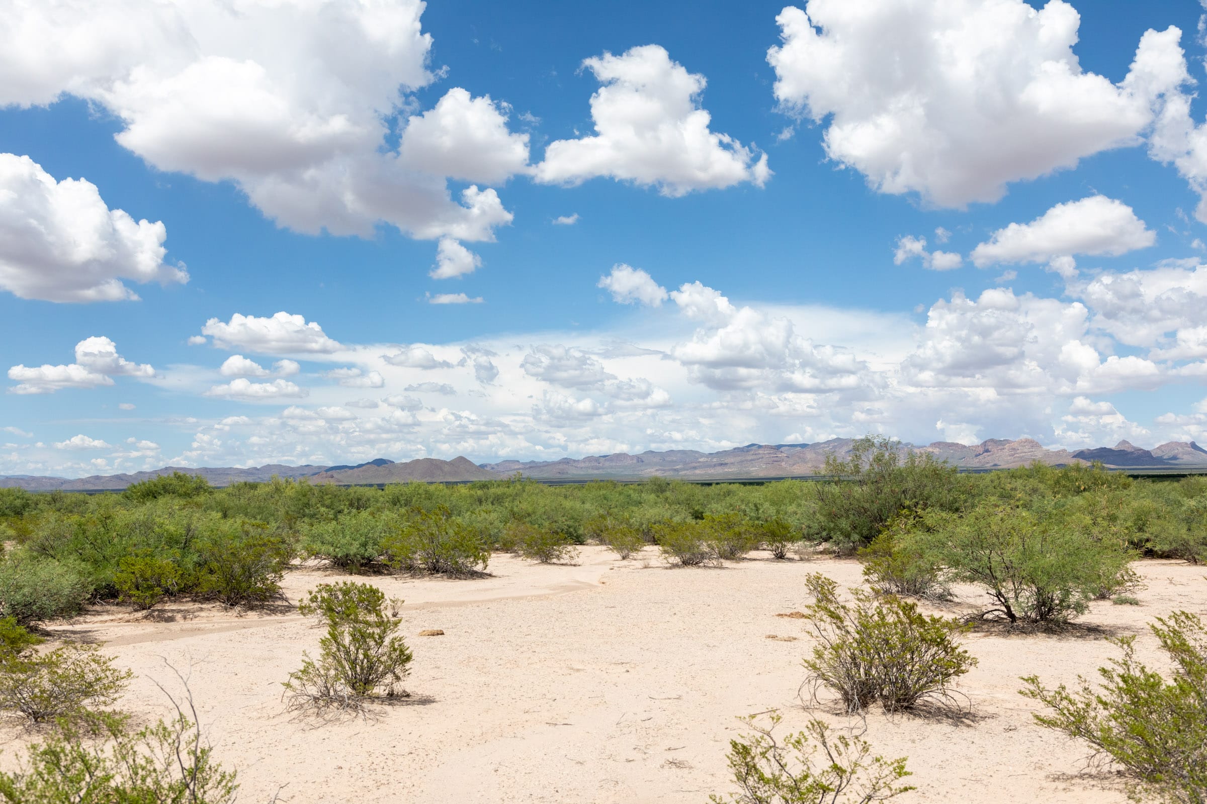 Horizon’s Edge Tract 7 photo 4