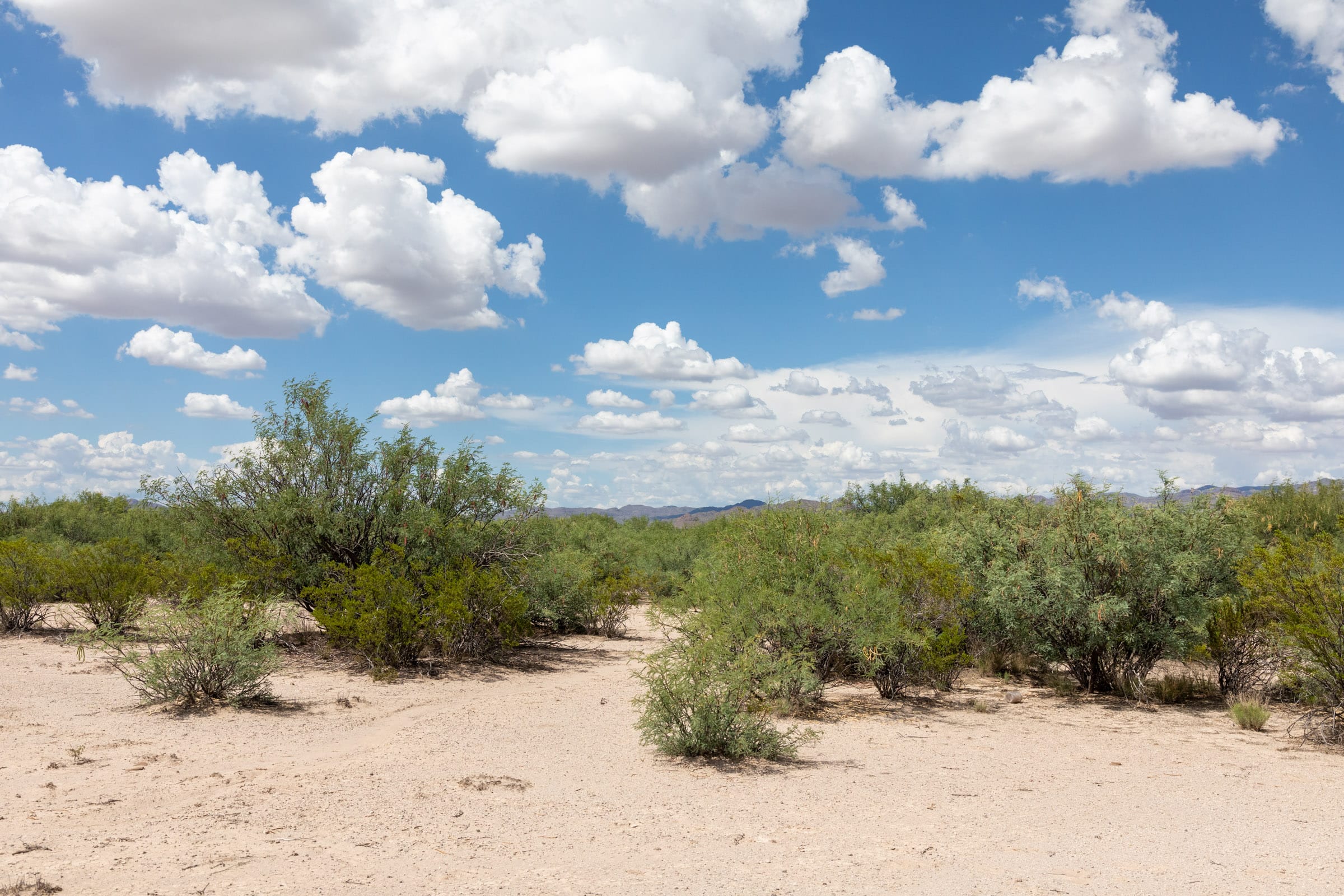 Horizon’s Edge Tract 7 photo 5