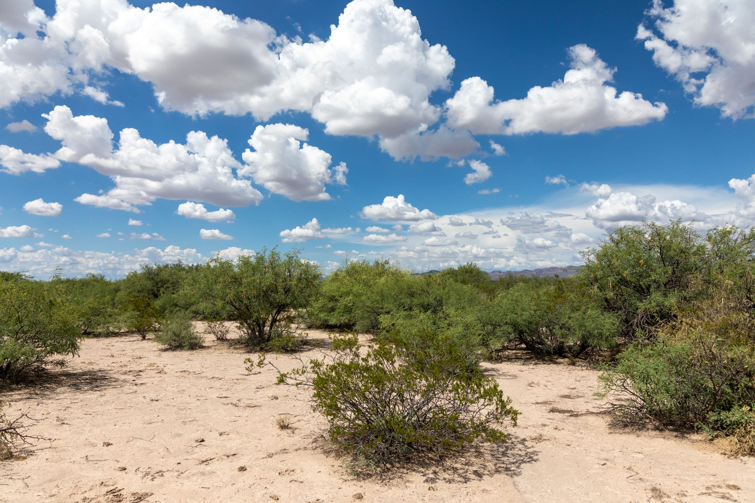 Horizon’s Edge Tract 7 photo 6