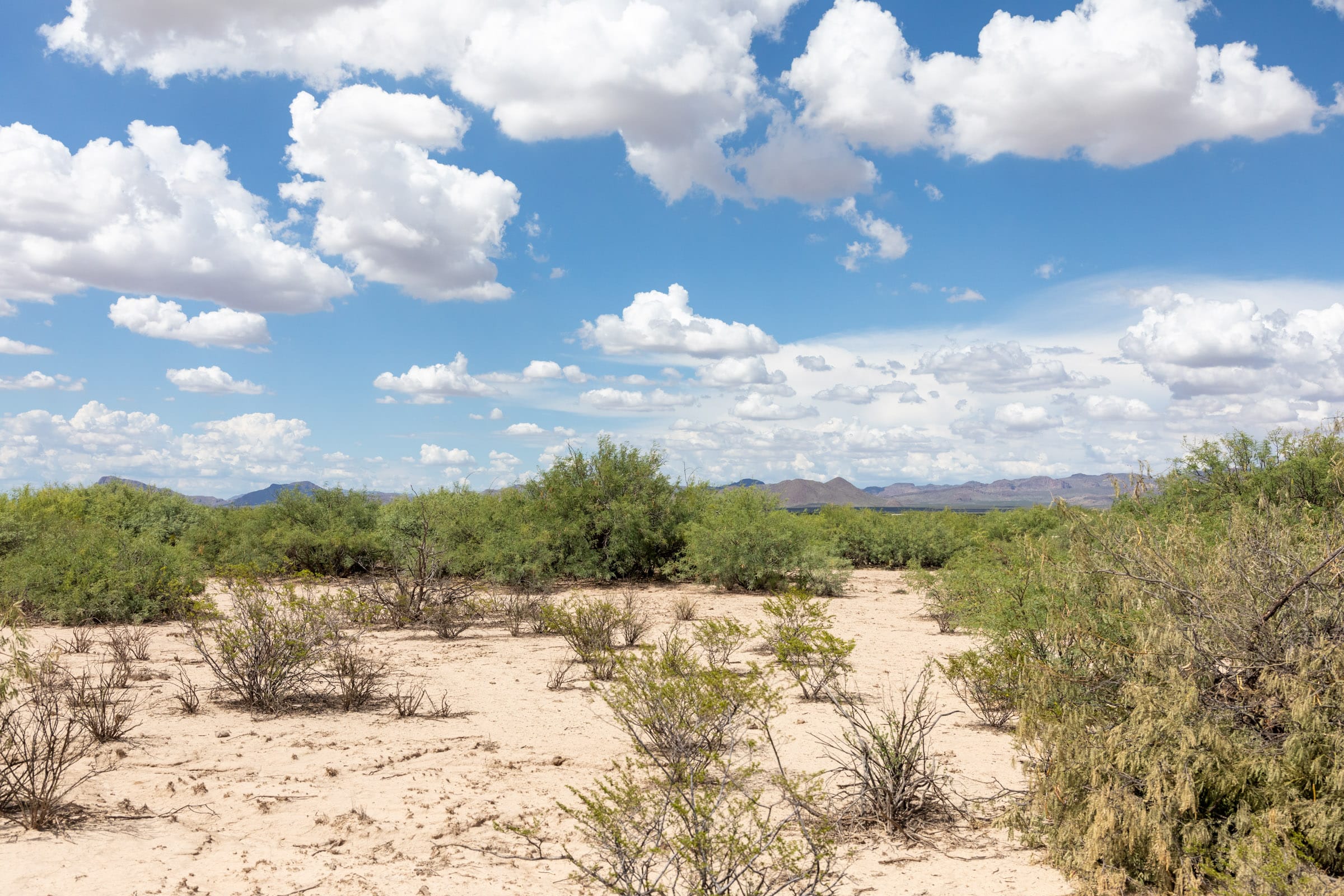 Horizon’s Edge Tract 7 photo 8