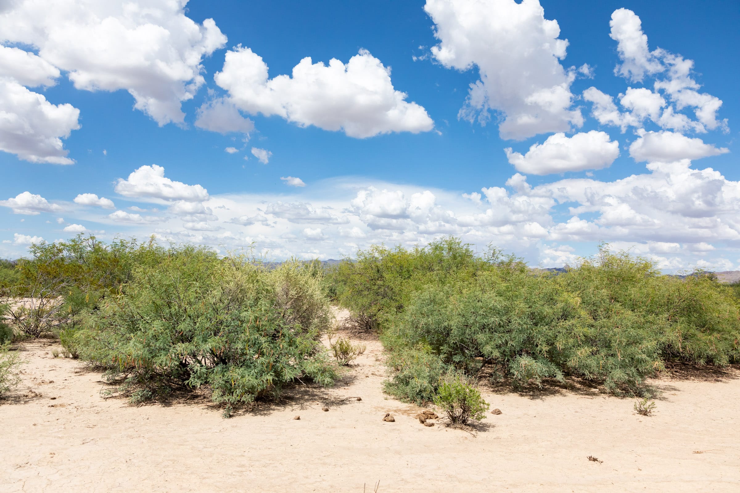 Horizon’s Edge Tract 7 photo 9