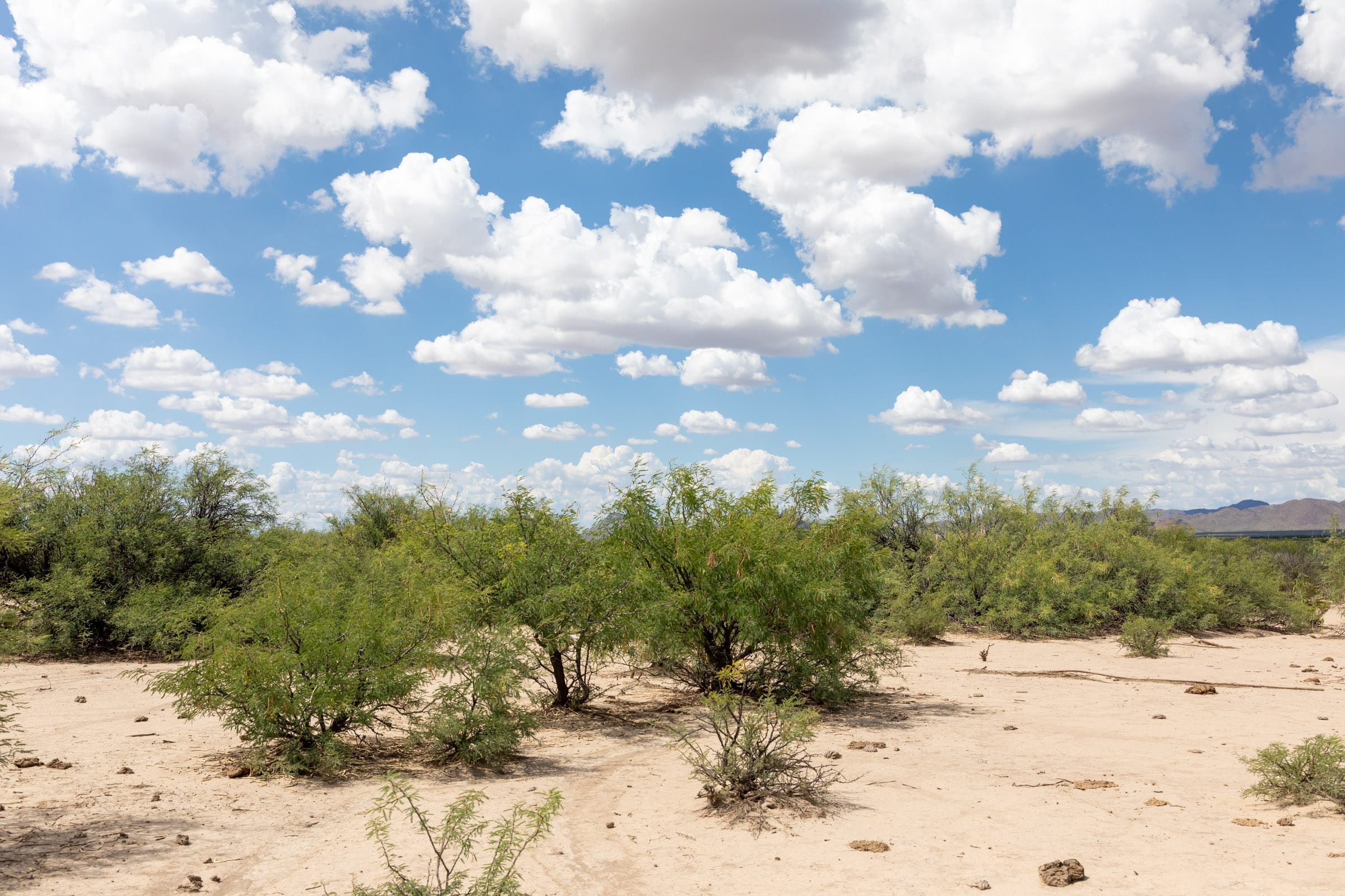 Horizon’s Edge Tract 7 photo 10