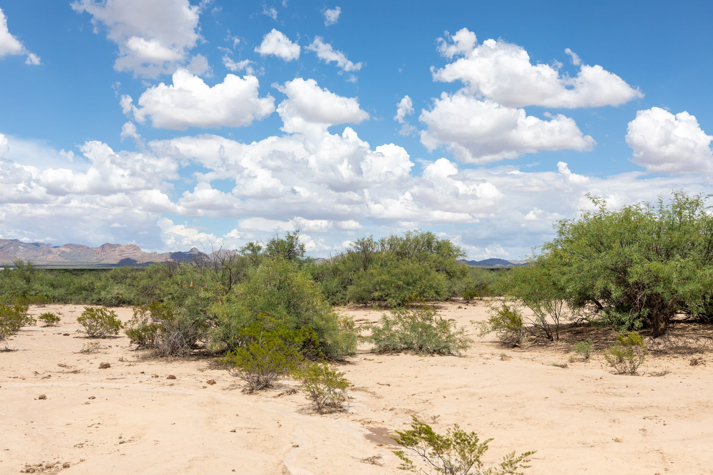Horizon’s Edge Tract 7 photo 11