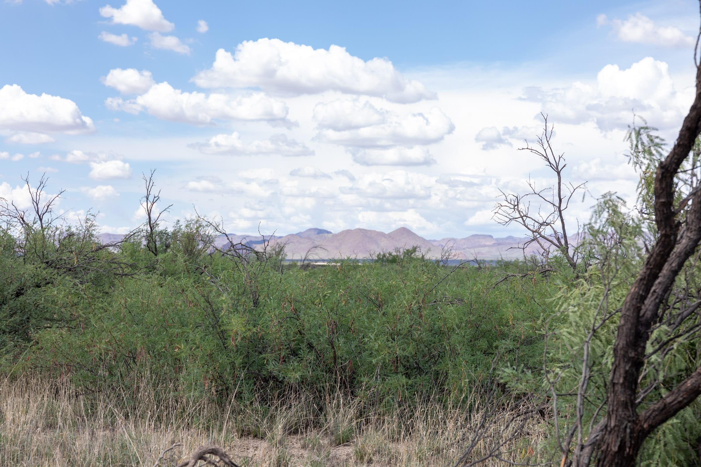 Horizon’s Edge Tract 7 photo 14
