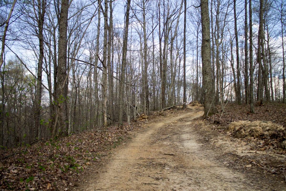 Chestnut Oak Ridge Tract 18 photo 2
