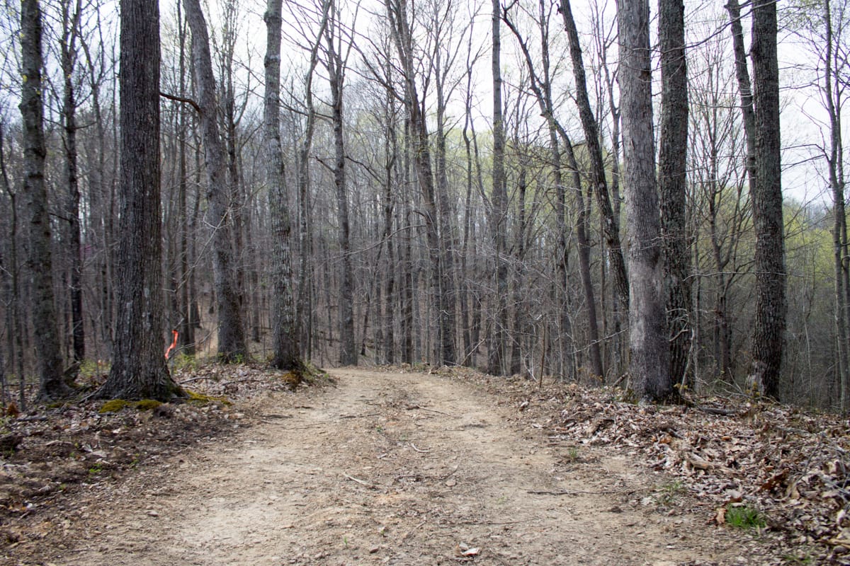 Chestnut Oak Ridge Tract 18 photo 3