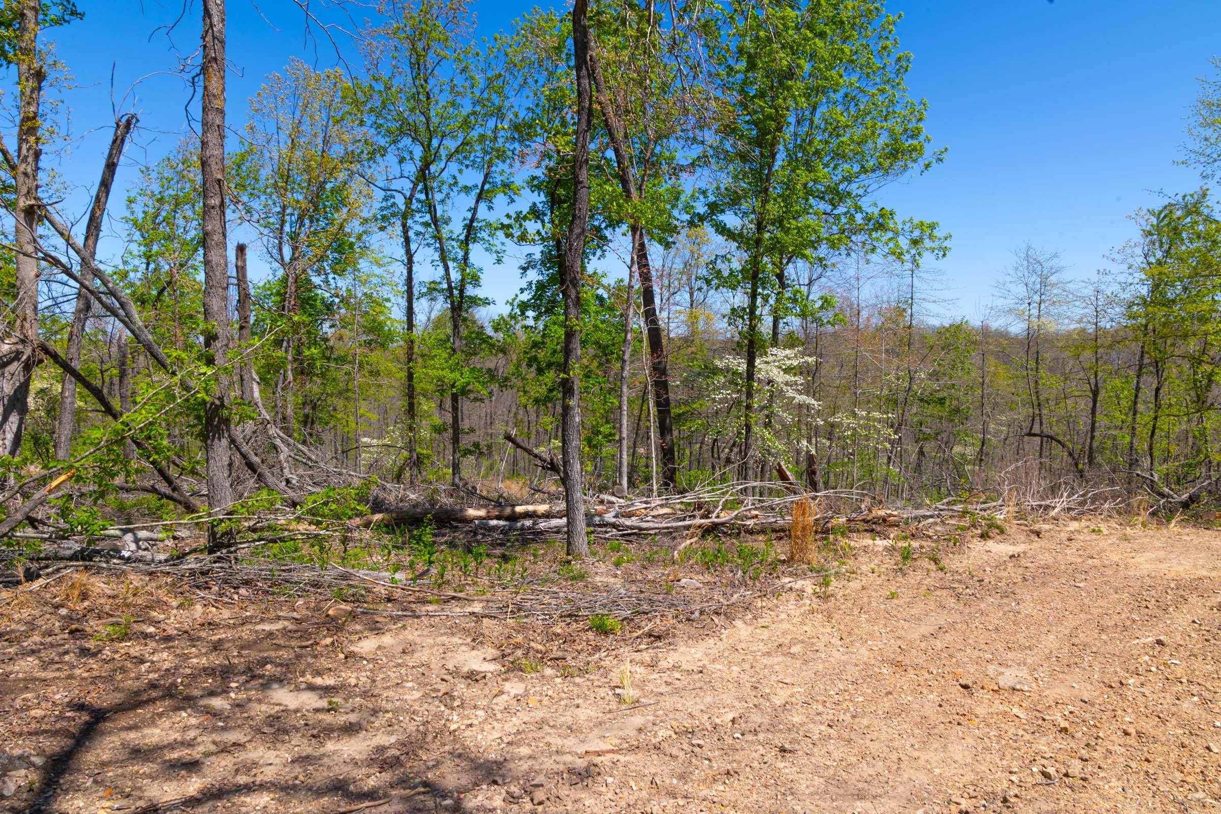 Lazybrook Tract 14 photo 12