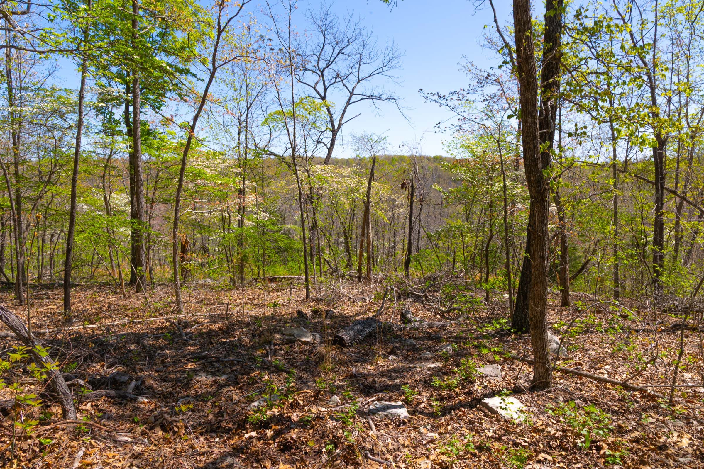 Lazybrook Tract 14 photo 3