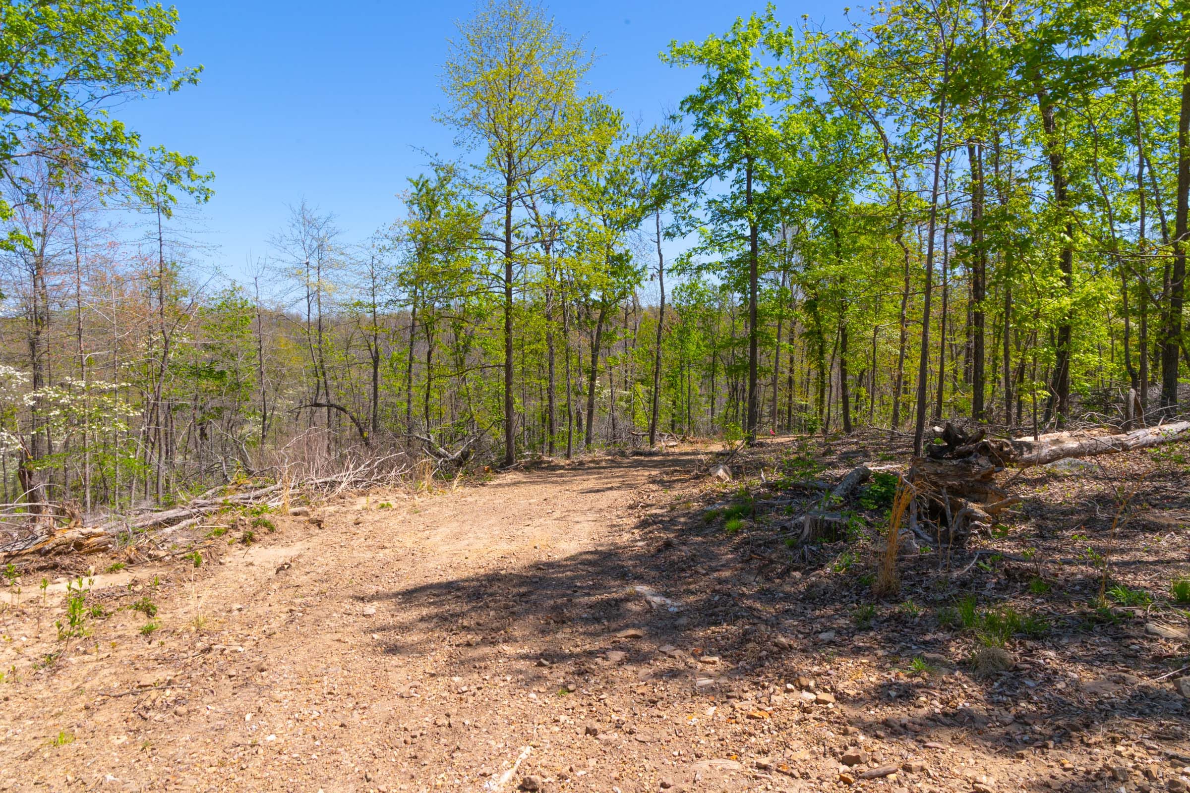 Lazybrook Tract 14 photo 2
