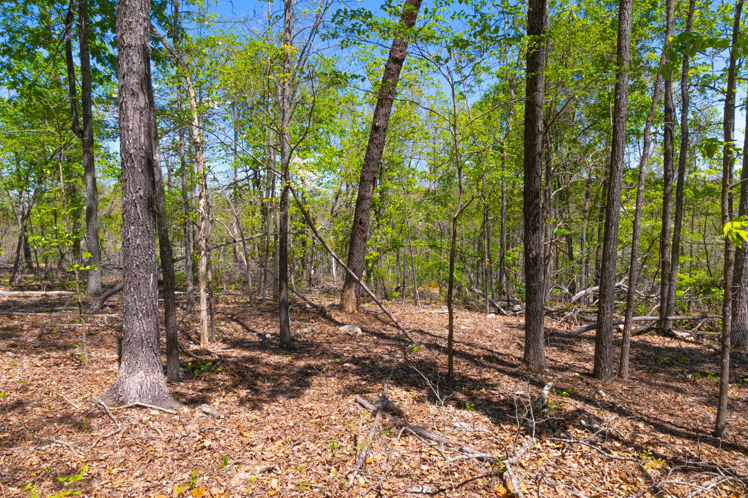 Lazybrook Tract 14 photo 7