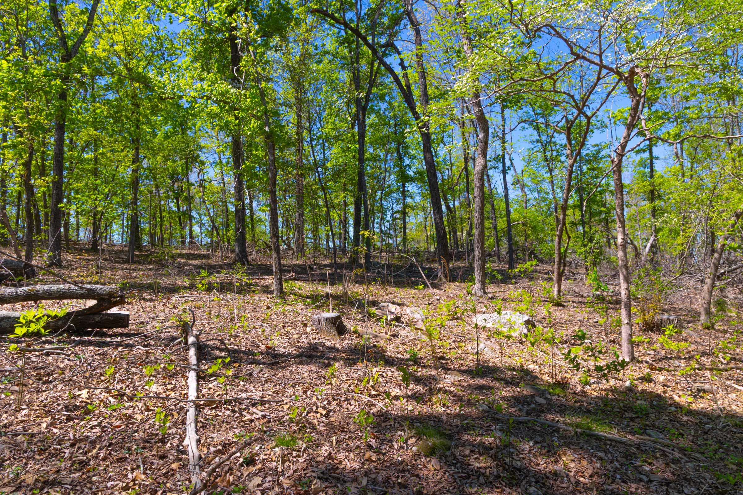 Lazybrook Tract 14 photo 11