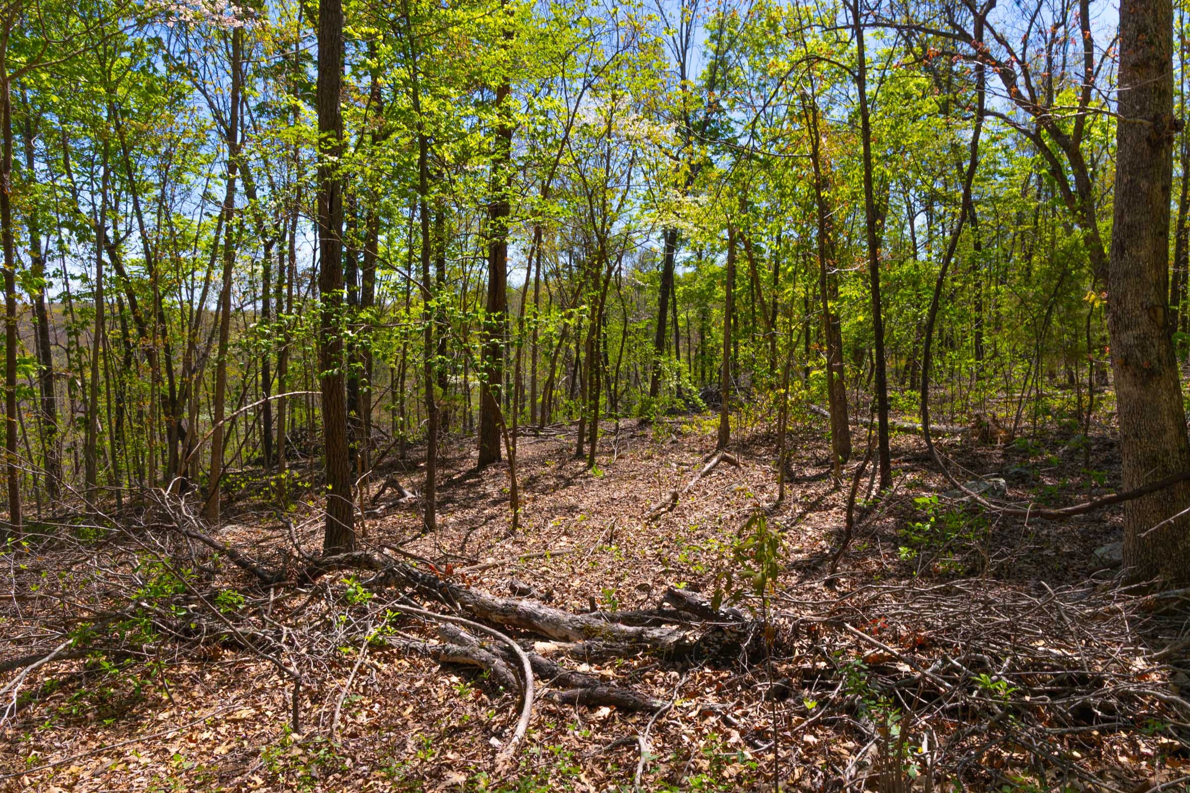 Lazybrook Tract 14 photo 10