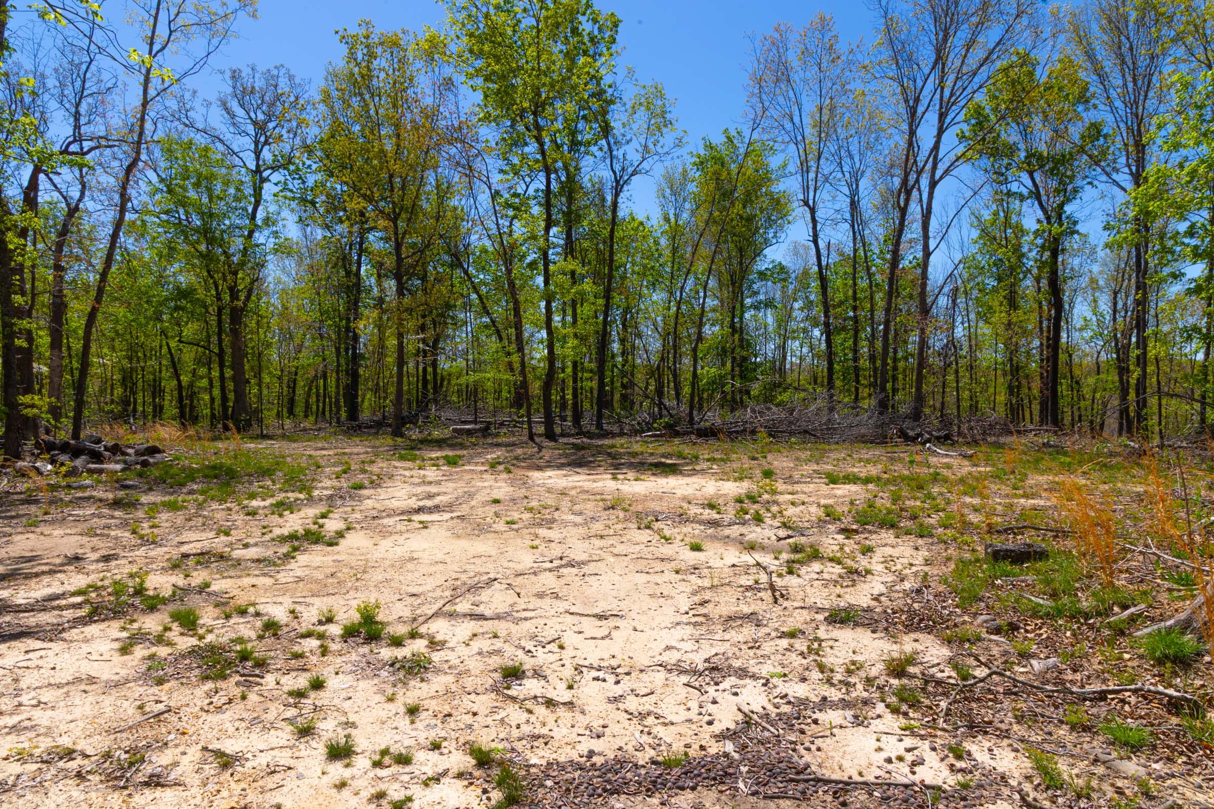 Lazybrook Tract 14 photo 5