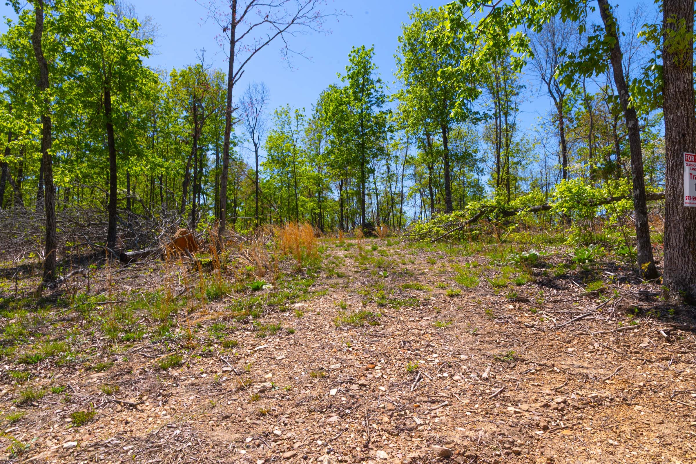Lazybrook Tract 14 photo 4