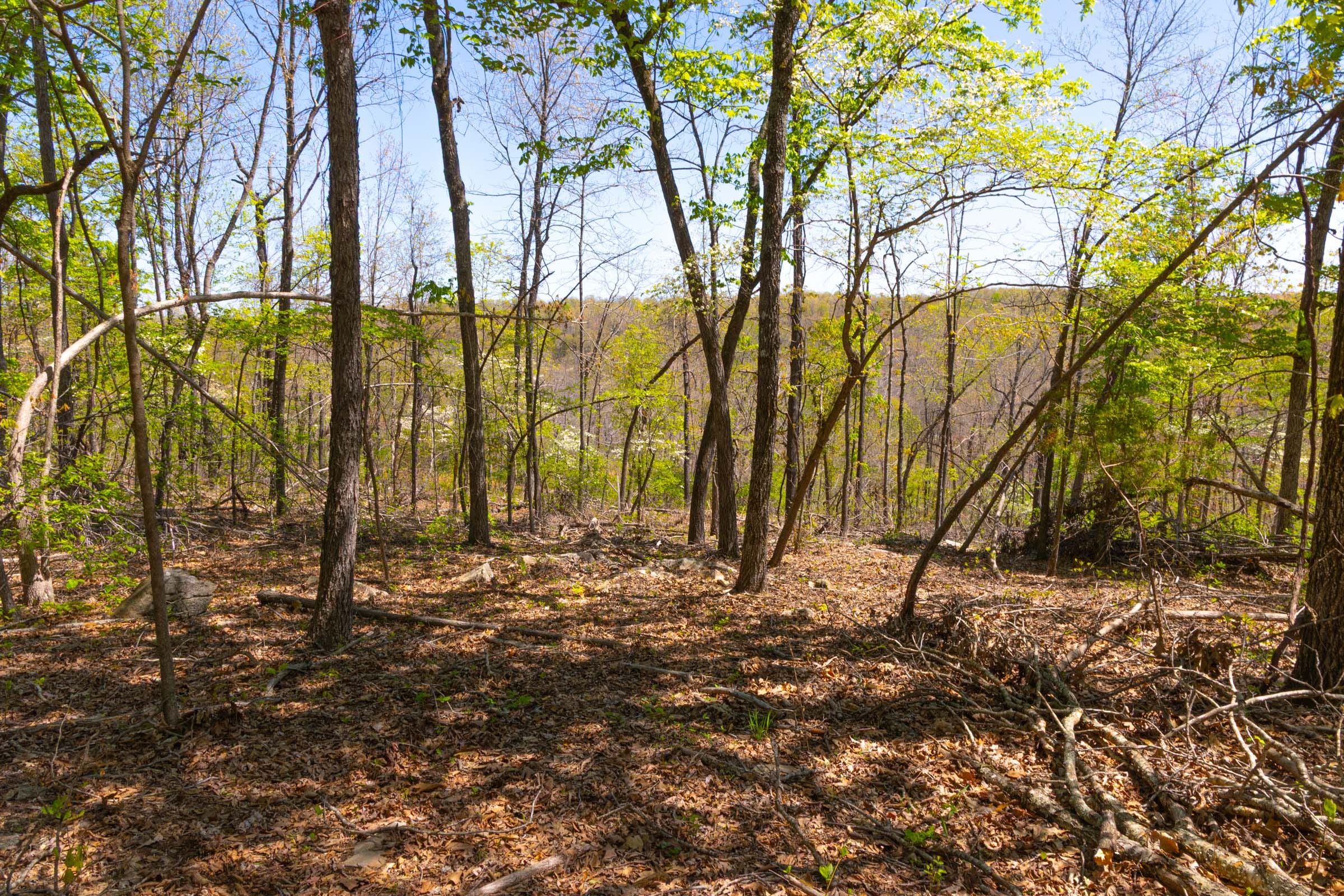 Lazybrook Tract 14 photo 6