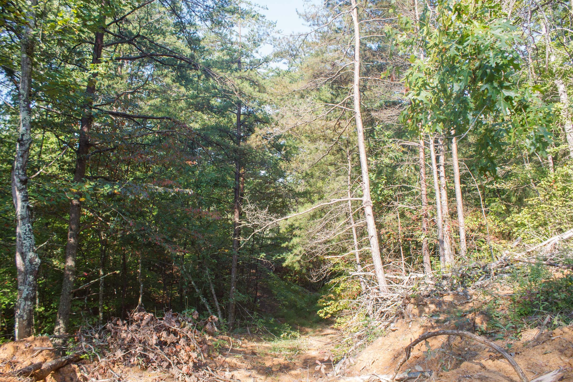 Wounded Oak Tract 7 photo 1