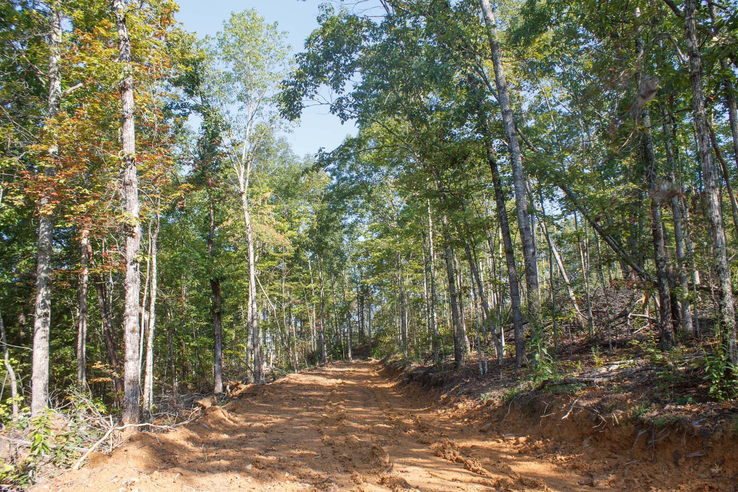 Wounded Oak Tract 7 photo 2