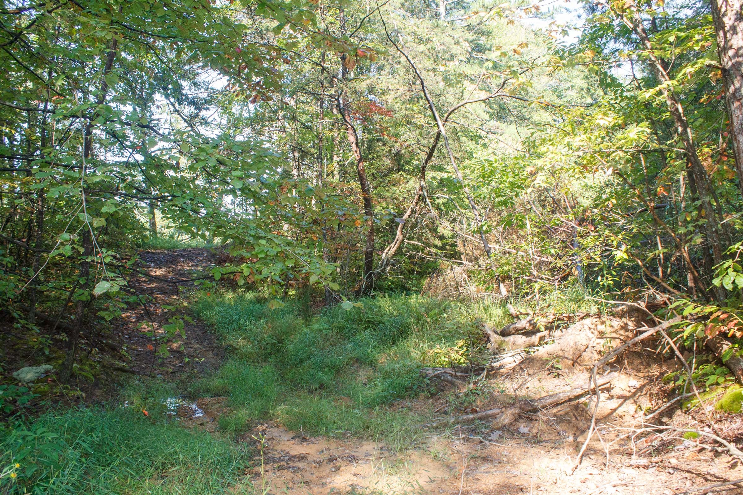 Wounded Oak Tract 7 photo 5