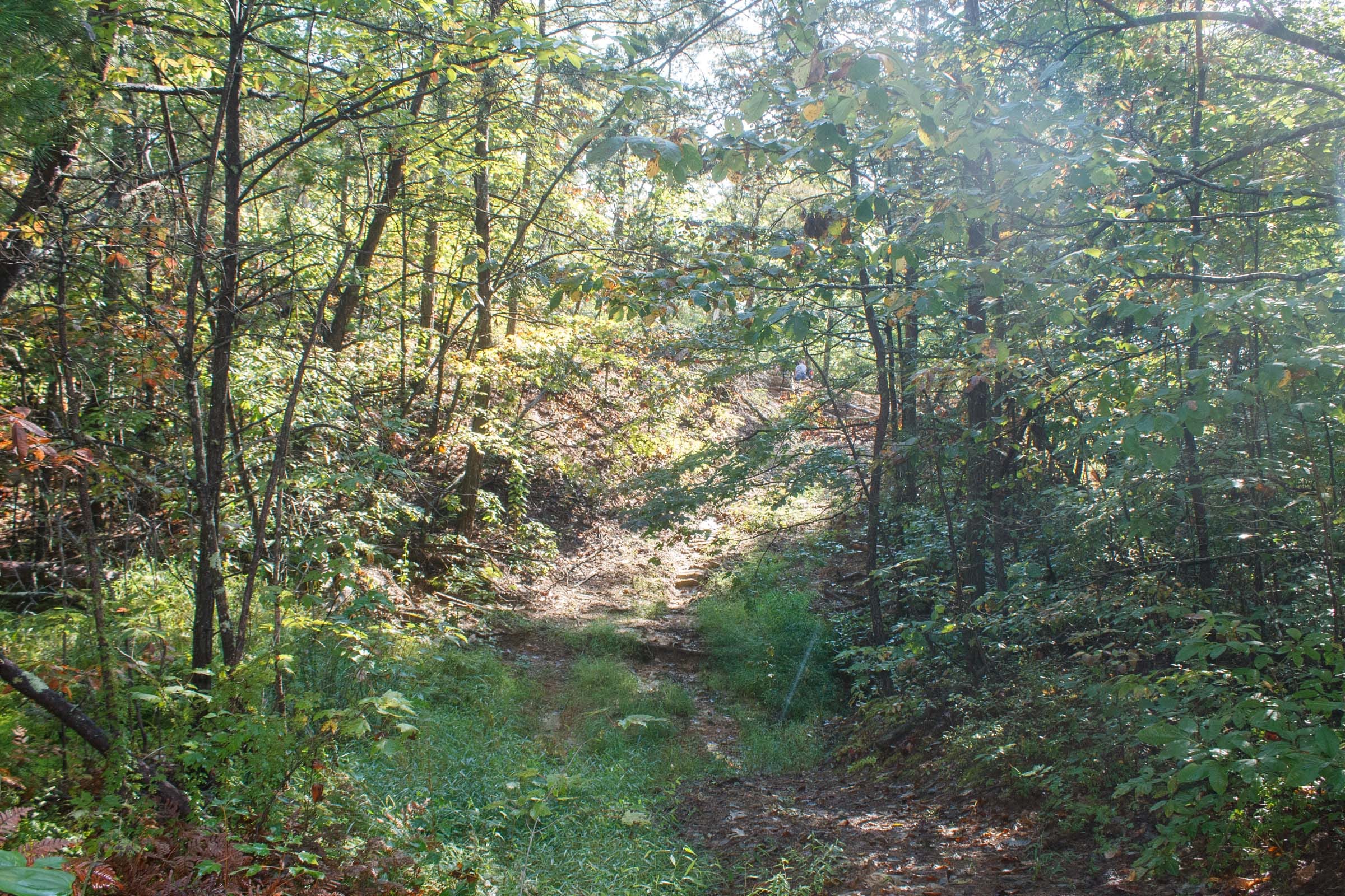 Wounded Oak Tract 7 photo 8